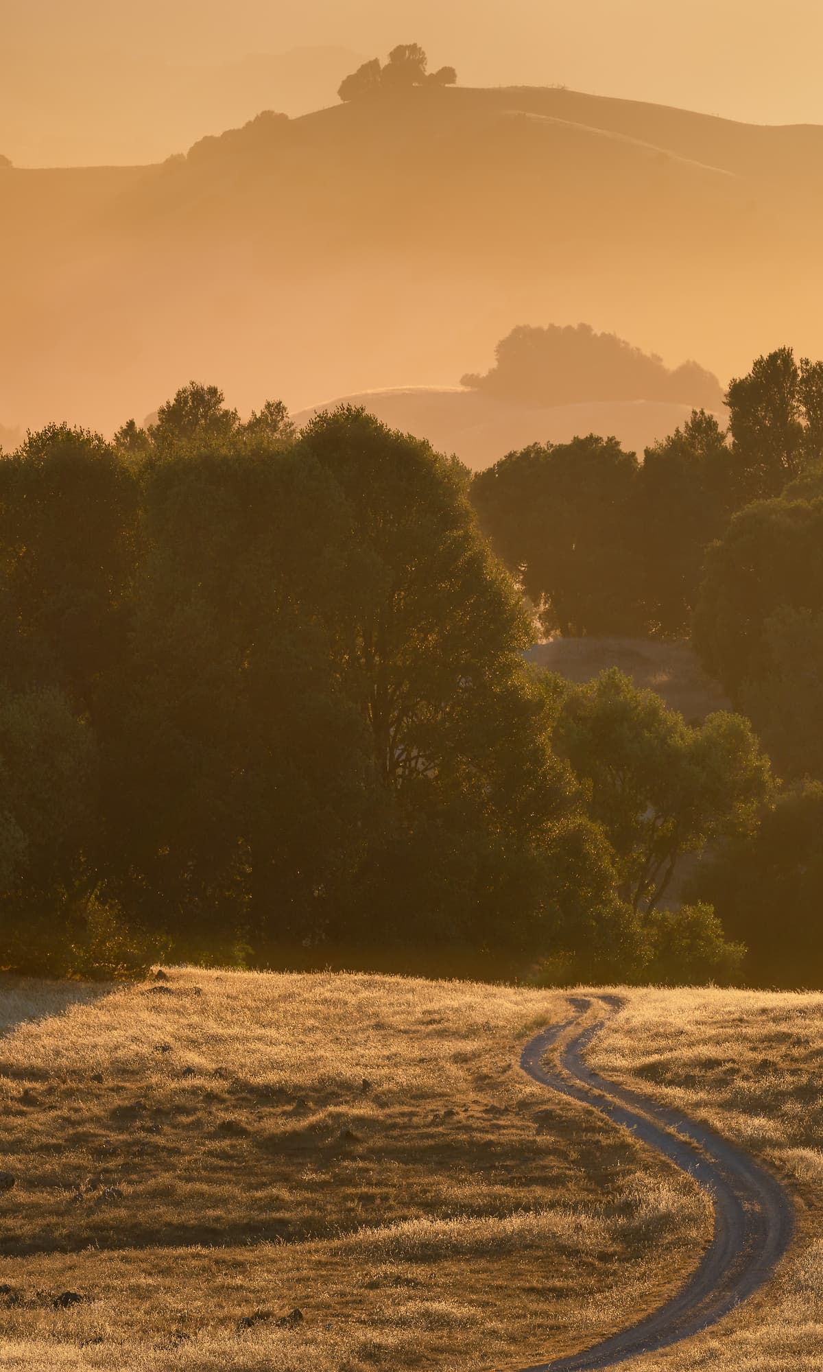 その他 Landscape Photography: Creating Visual Eloquence [DVD] Photos of Marin, California - VAST