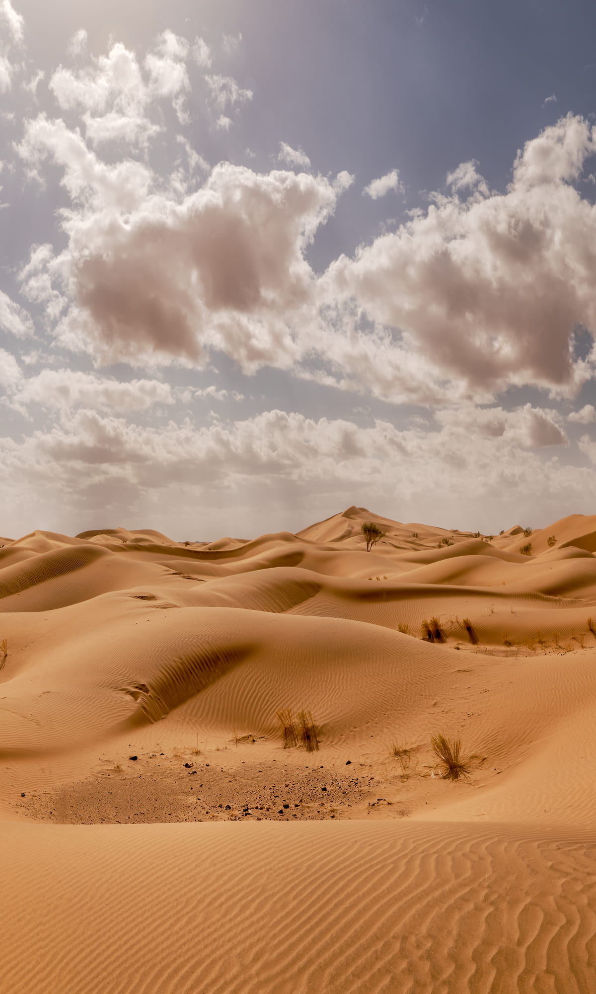 middle east desert