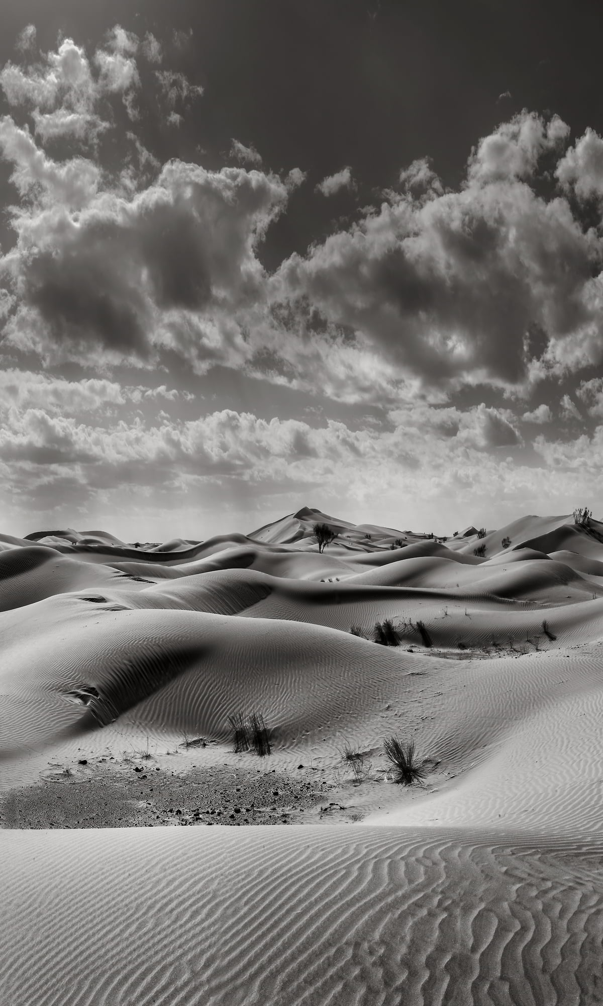 Arabian Sand Desert