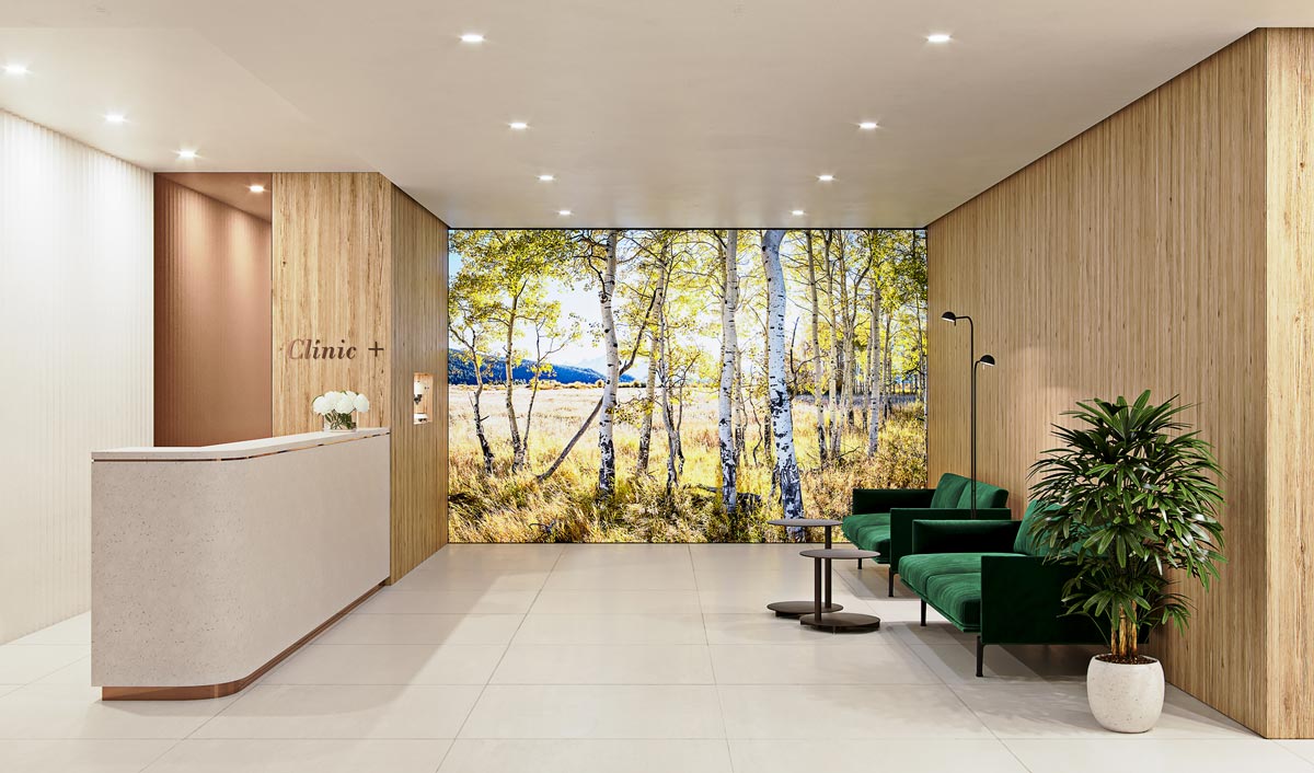 An interior design decor artwork example of A very high definition nature VAST photo of aspen trees; created by Justin Katz