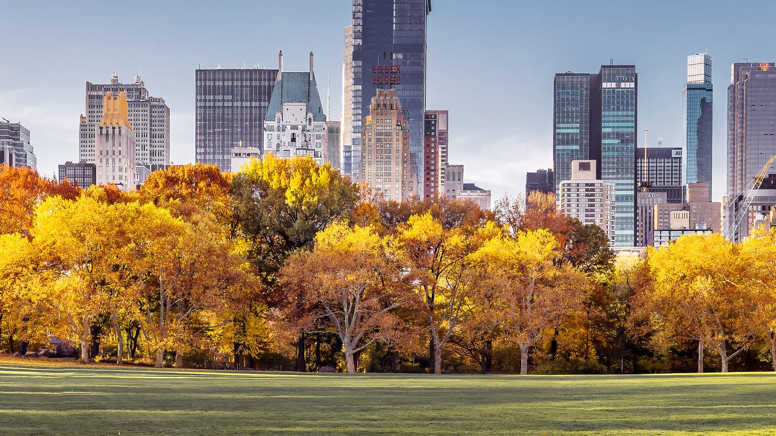 Central Park NYC Skyline Photos: High Resolution Fine Art - VAST