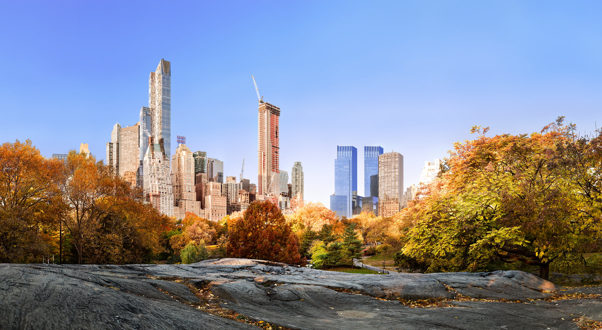 2,008 megapixels! A very high definition large format VAST photo print of autumn trees and skyline in Central Park, New York City at sunrise; created by Dan Piech.