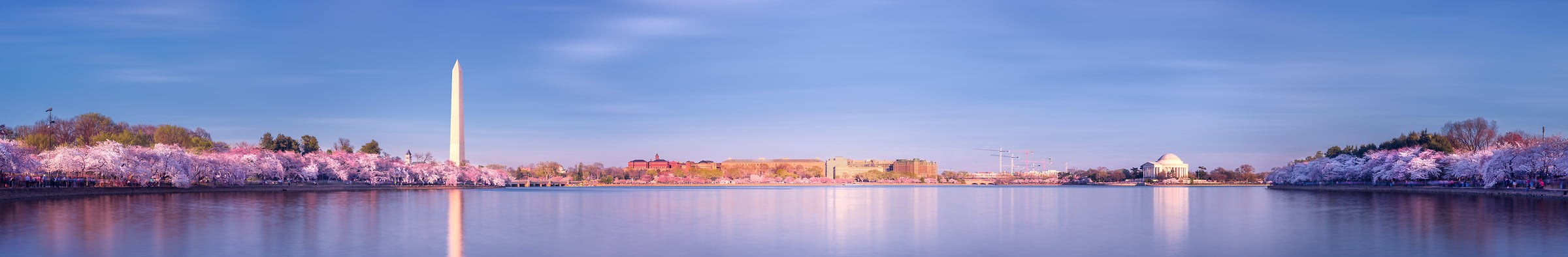 559 megapixels! A very high resolution, large-format VAST photo print of the Cherry Blossom Festival in Washington, DC during Spring; landscape photo created by Dan Piech.