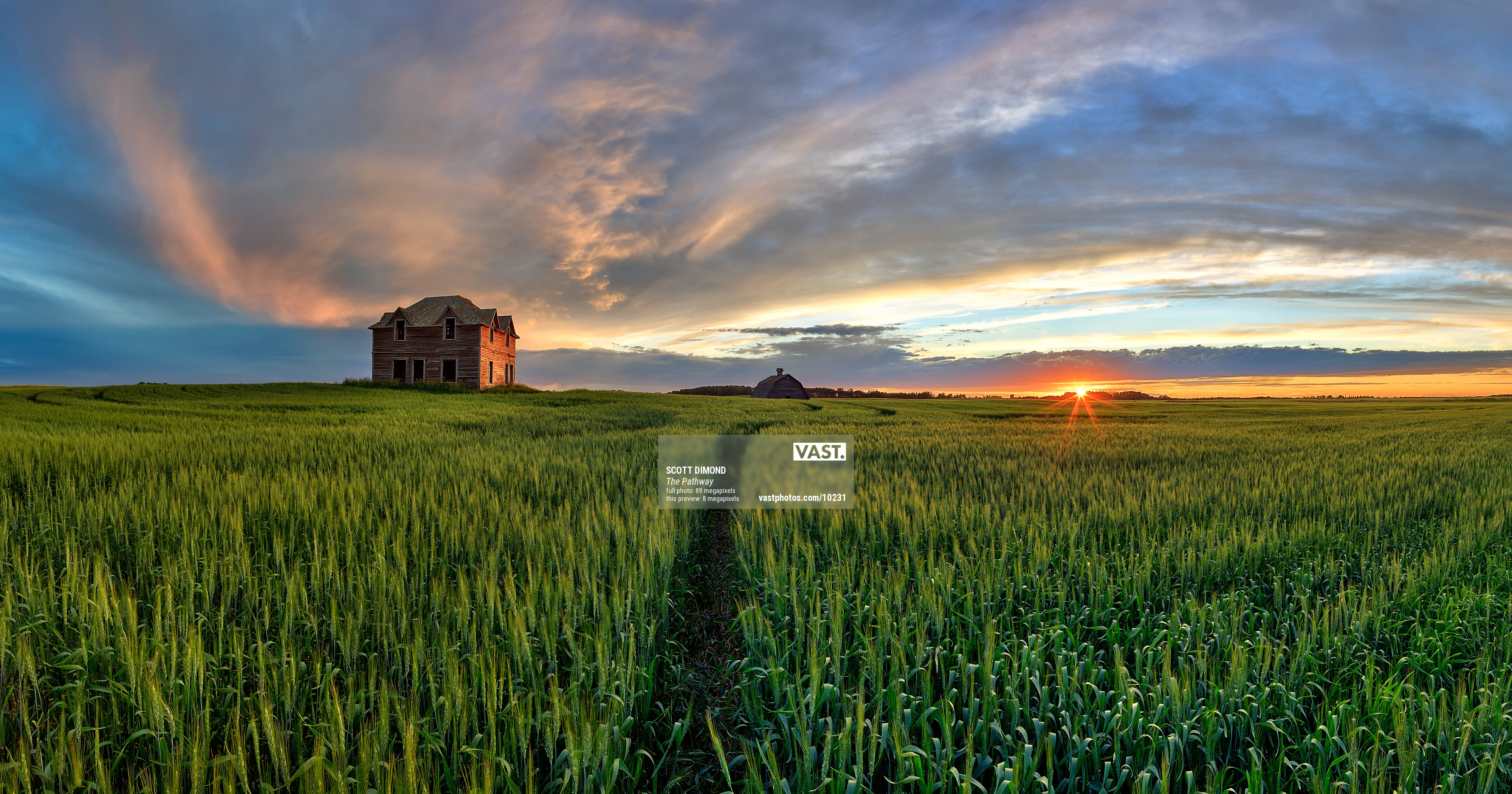 Westcott Scenic Background (6x8', Field of Dreams) 944 B&H Photo