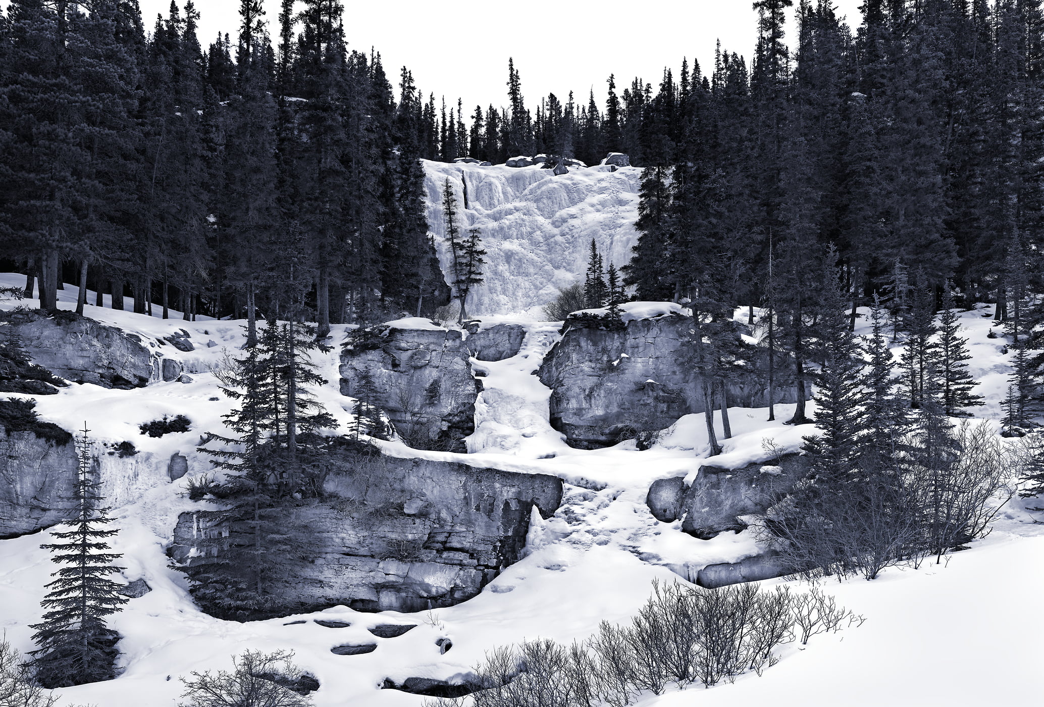 2,429 megapixels! A very high resolution, large-format VAST photo print of a frozen waterfall in winter with trees; fine art nature photo created by Steve Webster in Jasper National Park, Alberta, Canada.