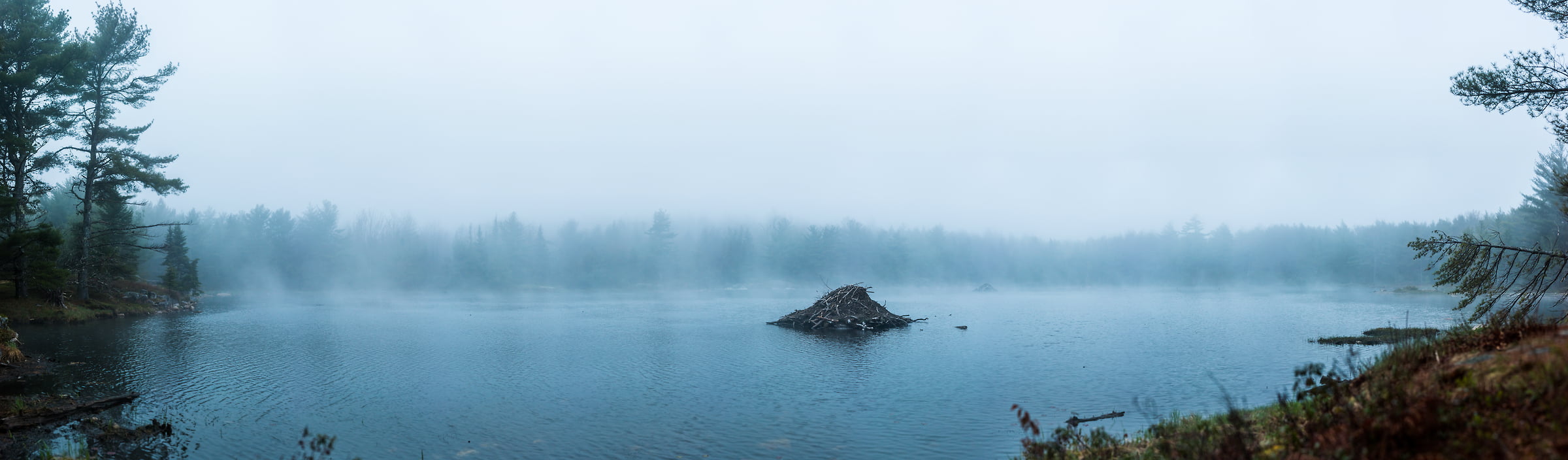 565 megapixels! A very high resolution, large-format VAST photo of a beaver lodge dam in Beaver Pond near Eagle Lake; fine art photograph created by Aaron Priest in Bar Harbor, Maine, New England.