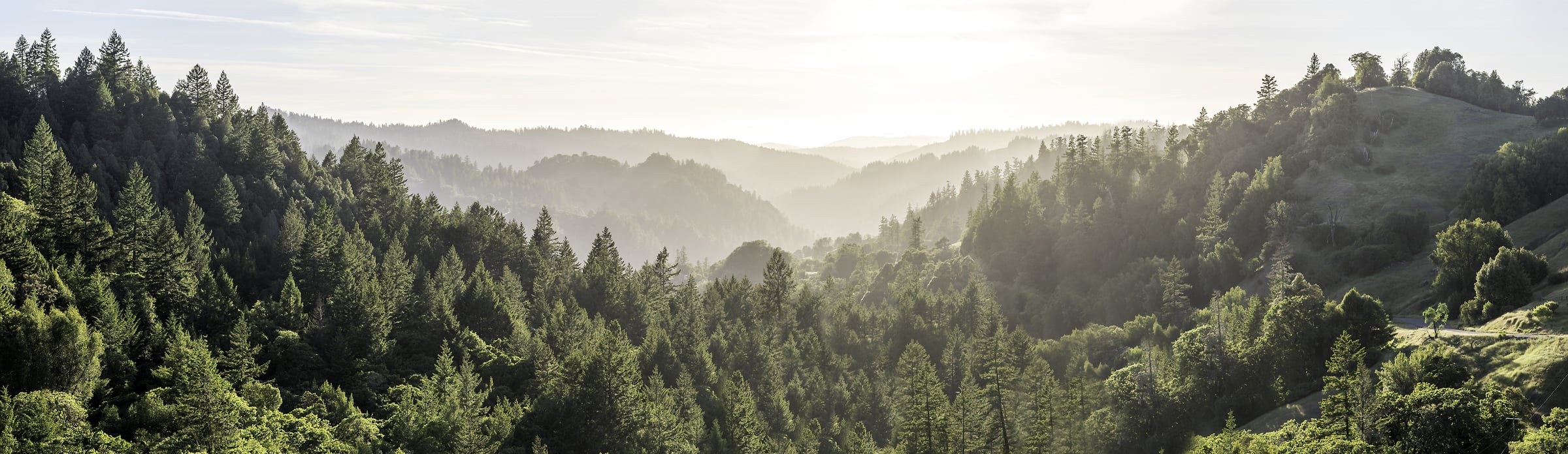 223 megapixels! A very high resolution, large-format VAST photo of the hills in California with forests; fine art landscape photo created by Justin Katz in Northern California.