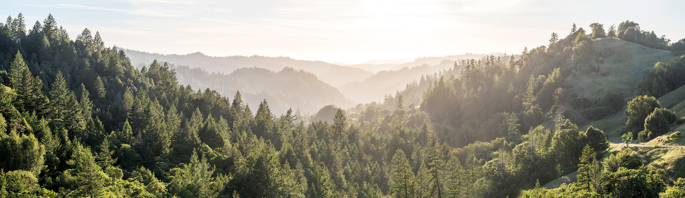 223 megapixels! A very high resolution, large-format VAST photo of the hills in California with forests; fine art landscape photo created by Justin Katz in Northern California