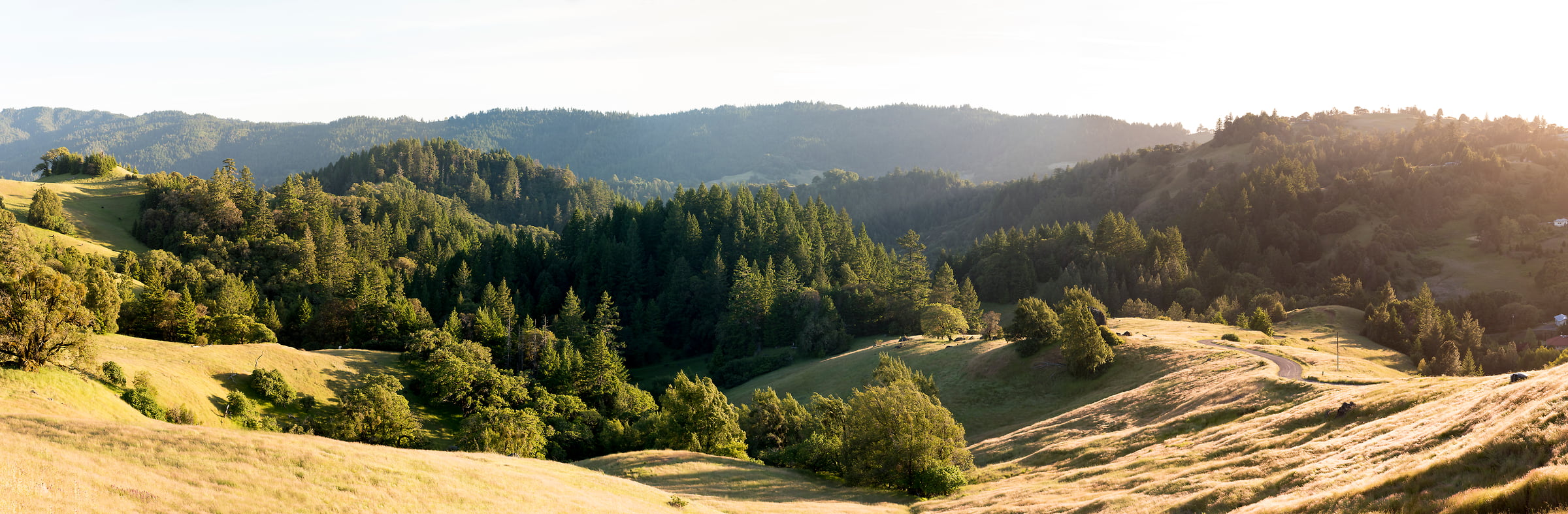 205 megapixels! A very high resolution, large-format VAST photo of the hills in Northern California; fine art landscape photo created by Justin Katz in Northern California.