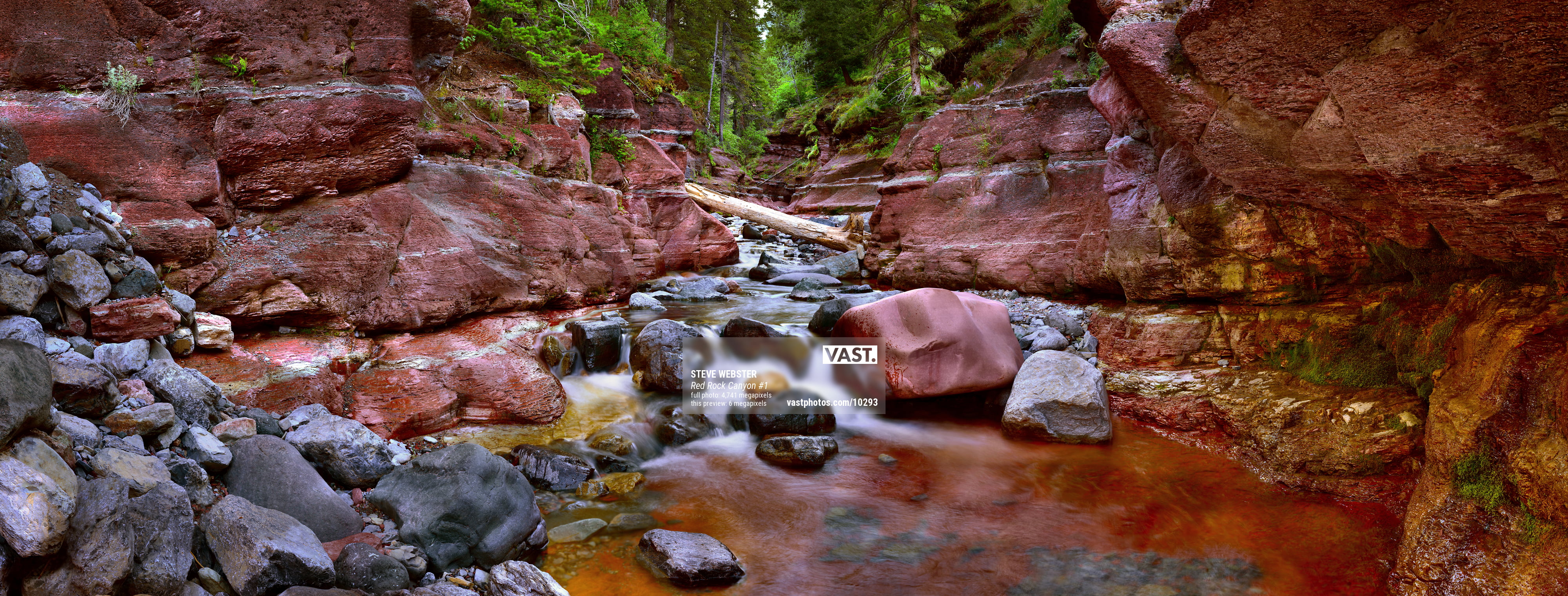 Large-Format Fine Art Nature Photos - VAST