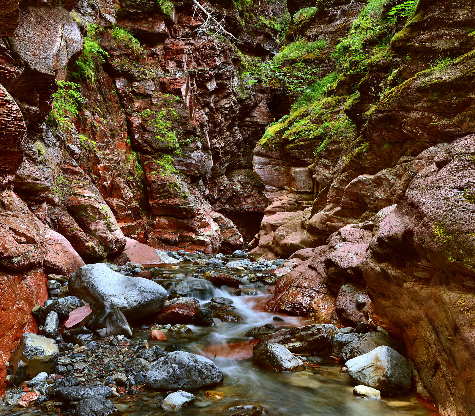 5,868 megapixels! A very high resolution, large-format VAST photo print of a stream, waterfall, and rocks; fine art nature photo created by Steve Webster in Red Rock Canyon, Waterton Lakes National Park, Alberta Canada.