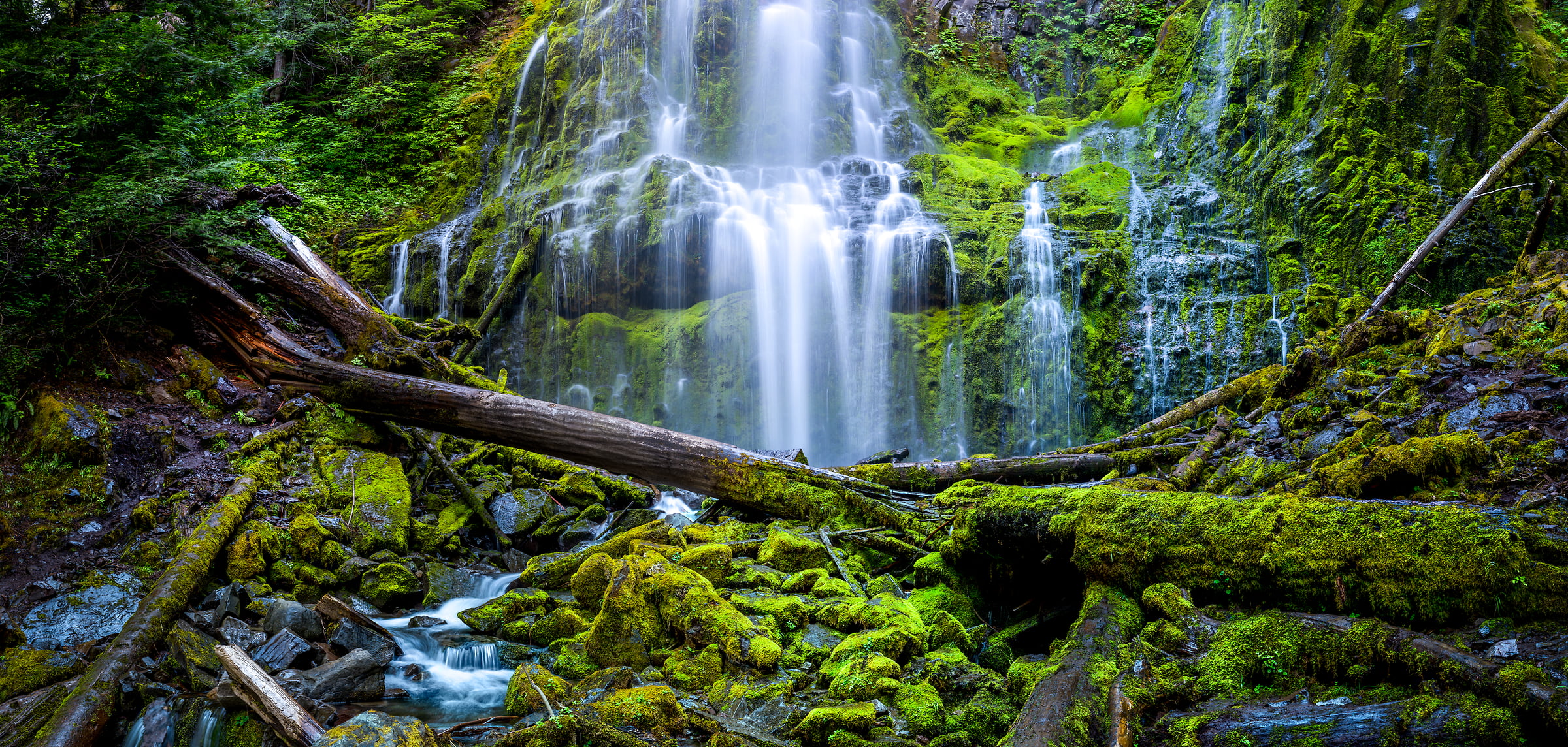 169 megapixels! A very high resolution, large-format VAST photo print of Proxy Falls: a lush green waterfall in Willamette National Forest; fine art nature photograph created by Tim Shields in Oregon