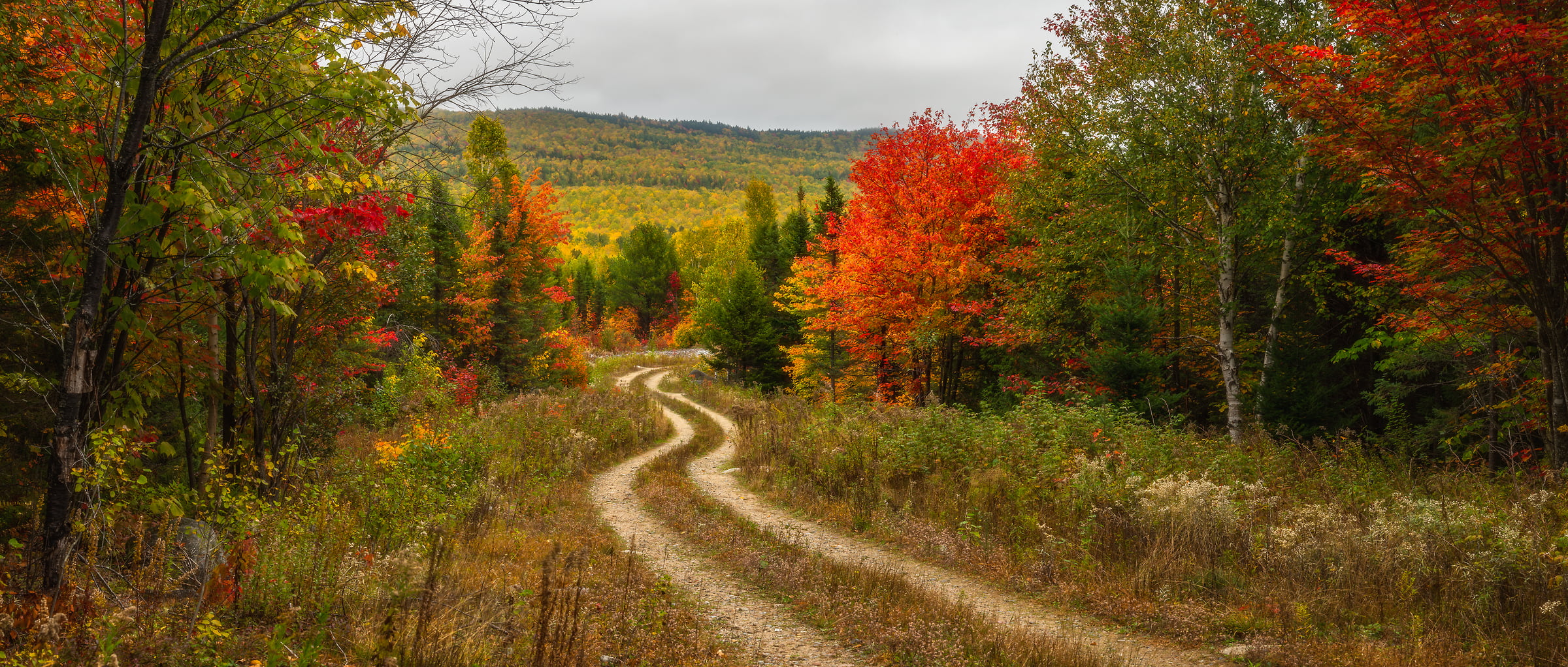 119 megapixels! A very high resolution, large-format photo of colorful fall foliage, leaves, and a winding dirt road; fine art photograph created by Aaron Priest in Northeast Piscataquis, Maine
