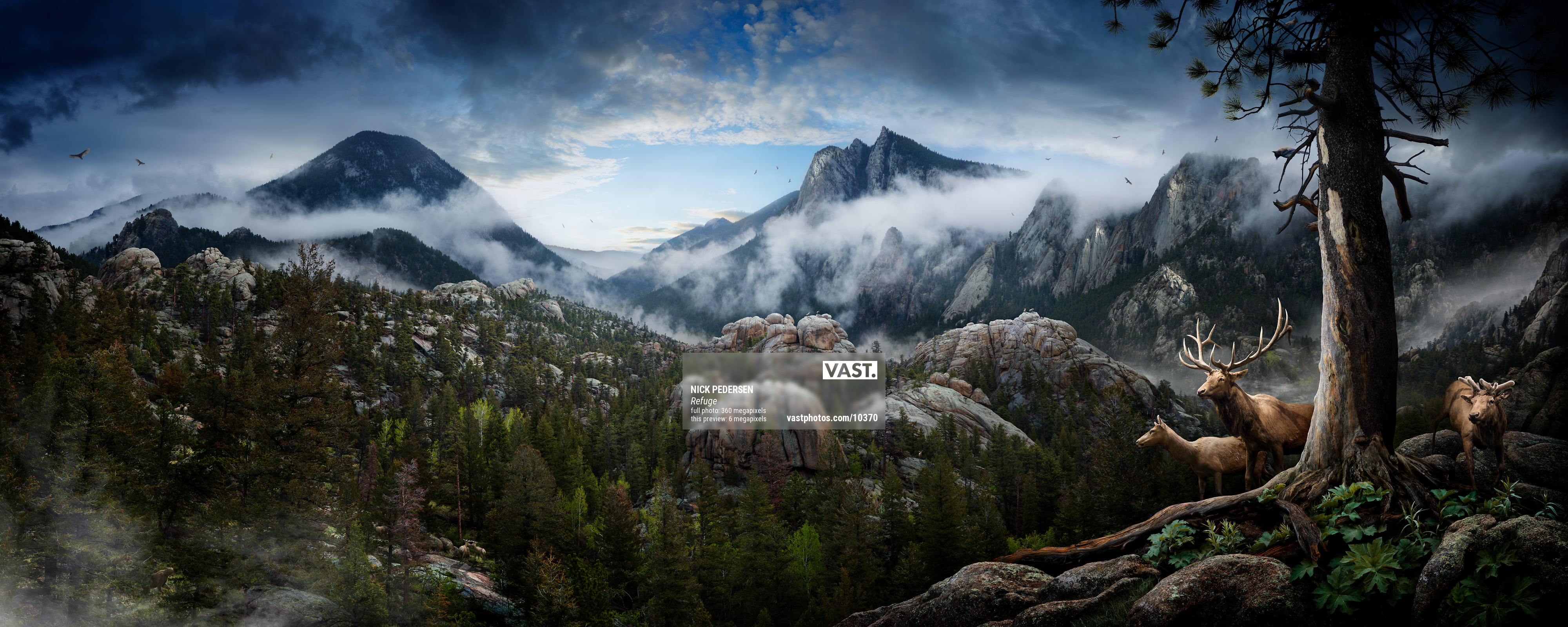 写真集 Taxonomy of a landscape Victoria Sambunaris: A Taxonomy of a Landscape - YouTube