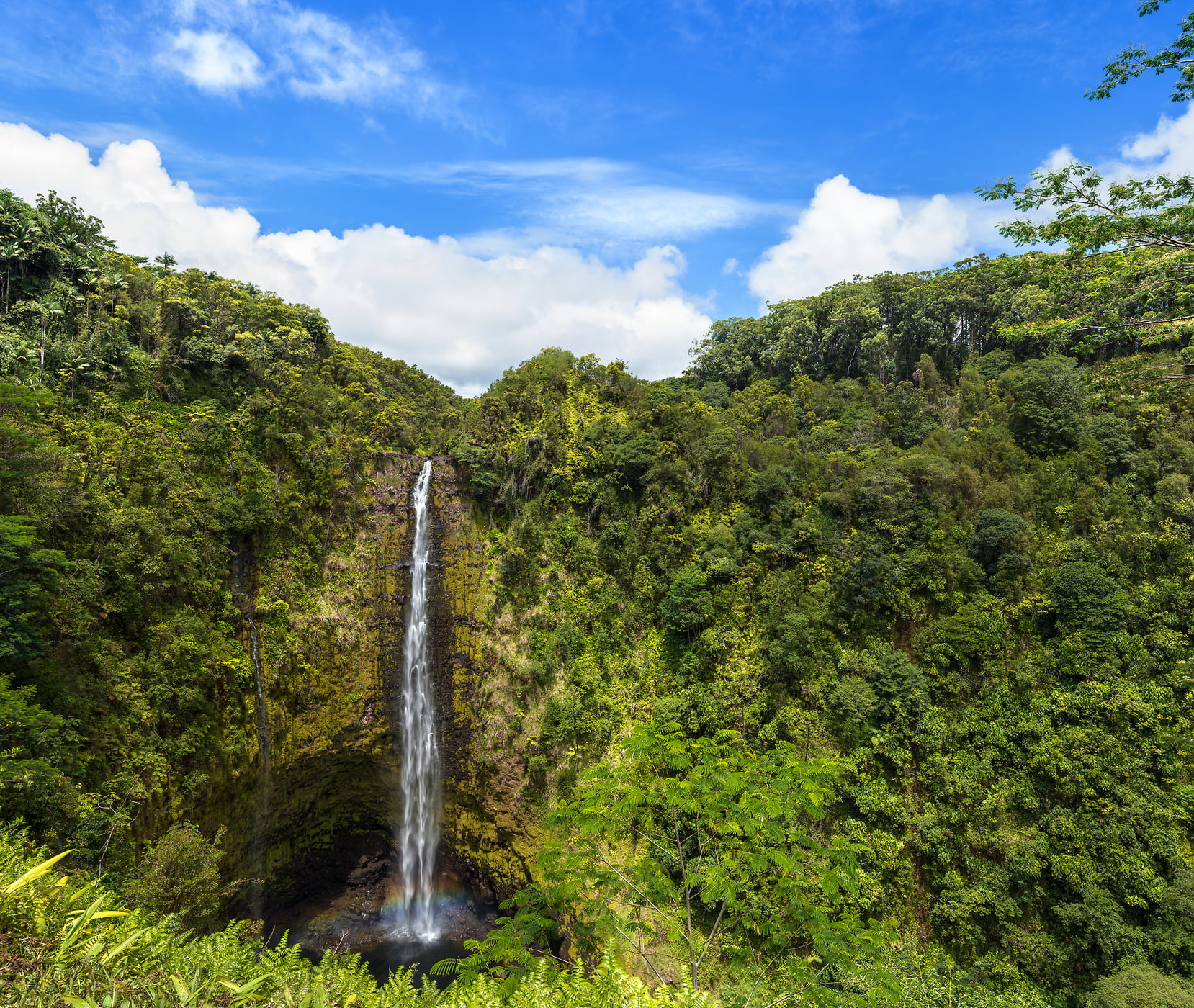 455 megapixels! A very high resolution, large-format VAST photo of a waterfall and tropical jungle in Hawaii; print created by Jim Tarpo in Honomu, Hawaii