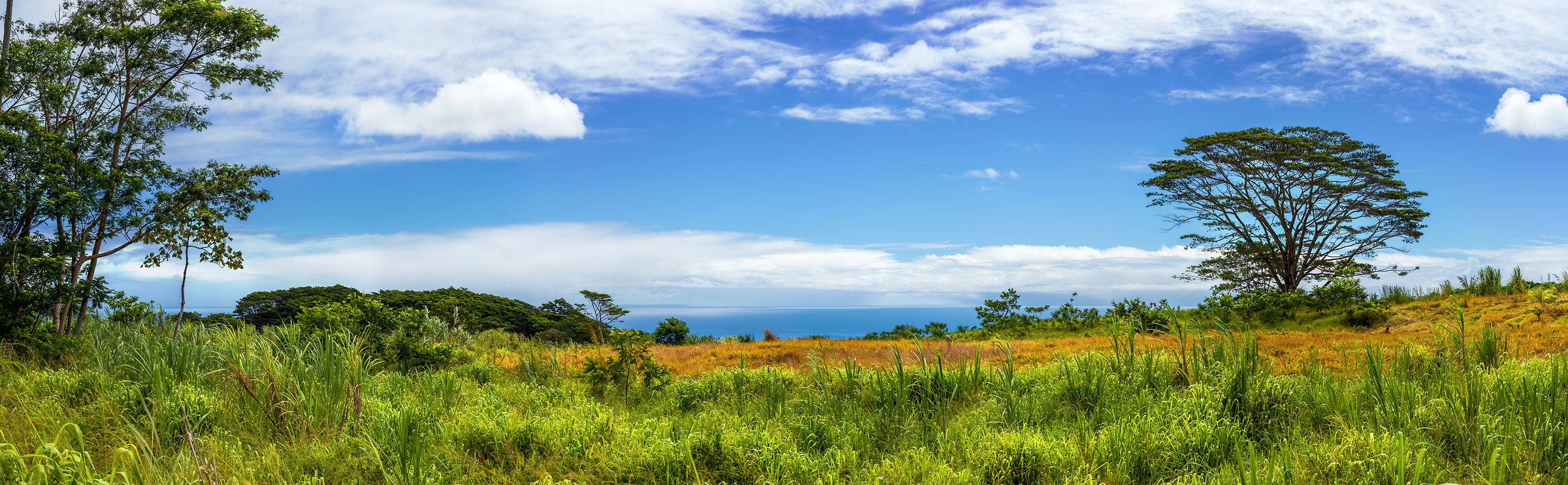 356 megapixels! A very high resolution, large-format VAST photo of a green and blue landscape; panorama photograph created by Jim Tarpo in Honomu, Hawaii
