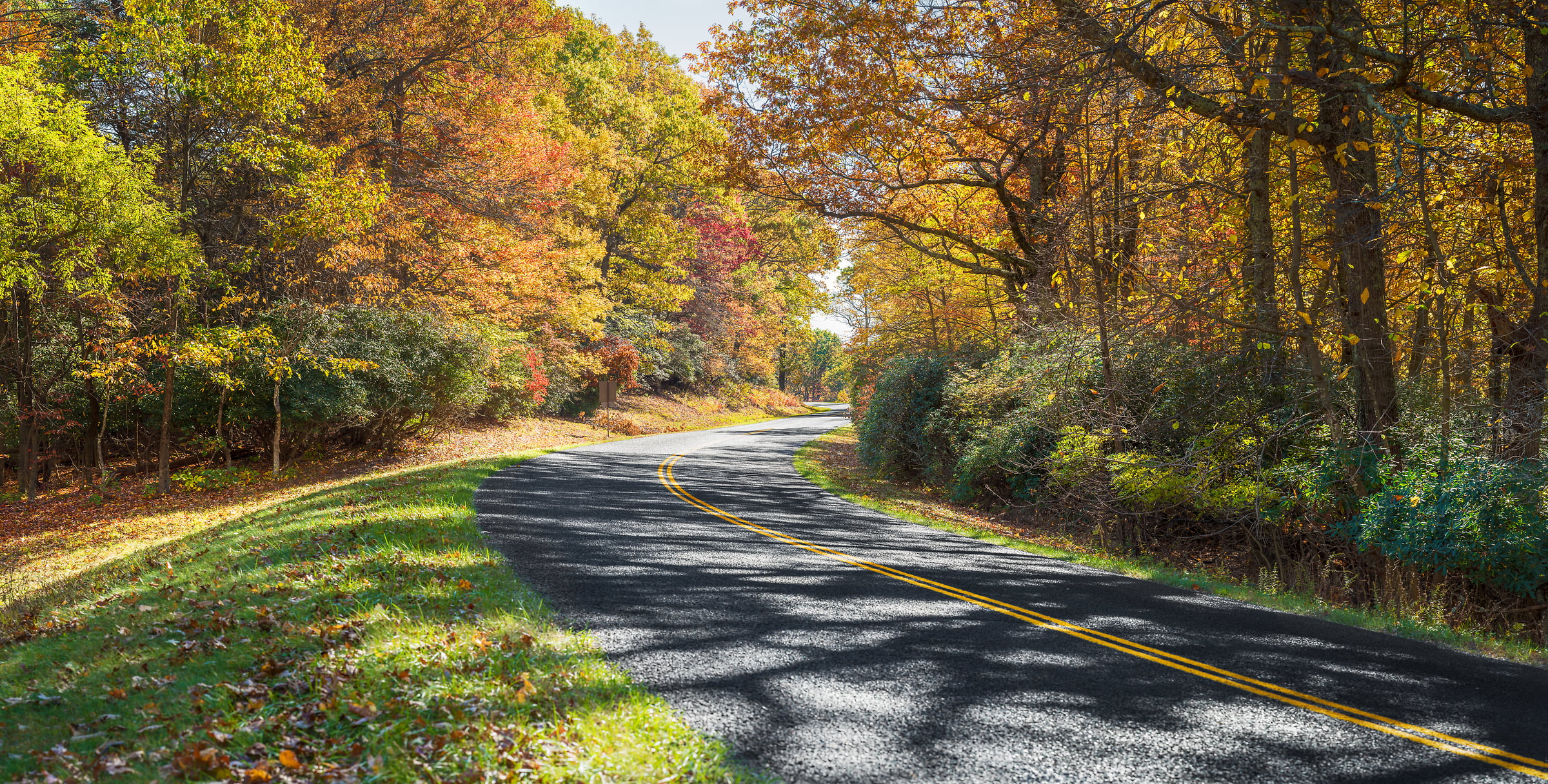303 megapixels! A very high resolution, large-format VAST photo of a road curving through a forest in autumn with colorful fall autumn foliage; fine art photograph created by Jim Tarpo at Milepost 160, Blue Ridge Pkwy, Virginia.