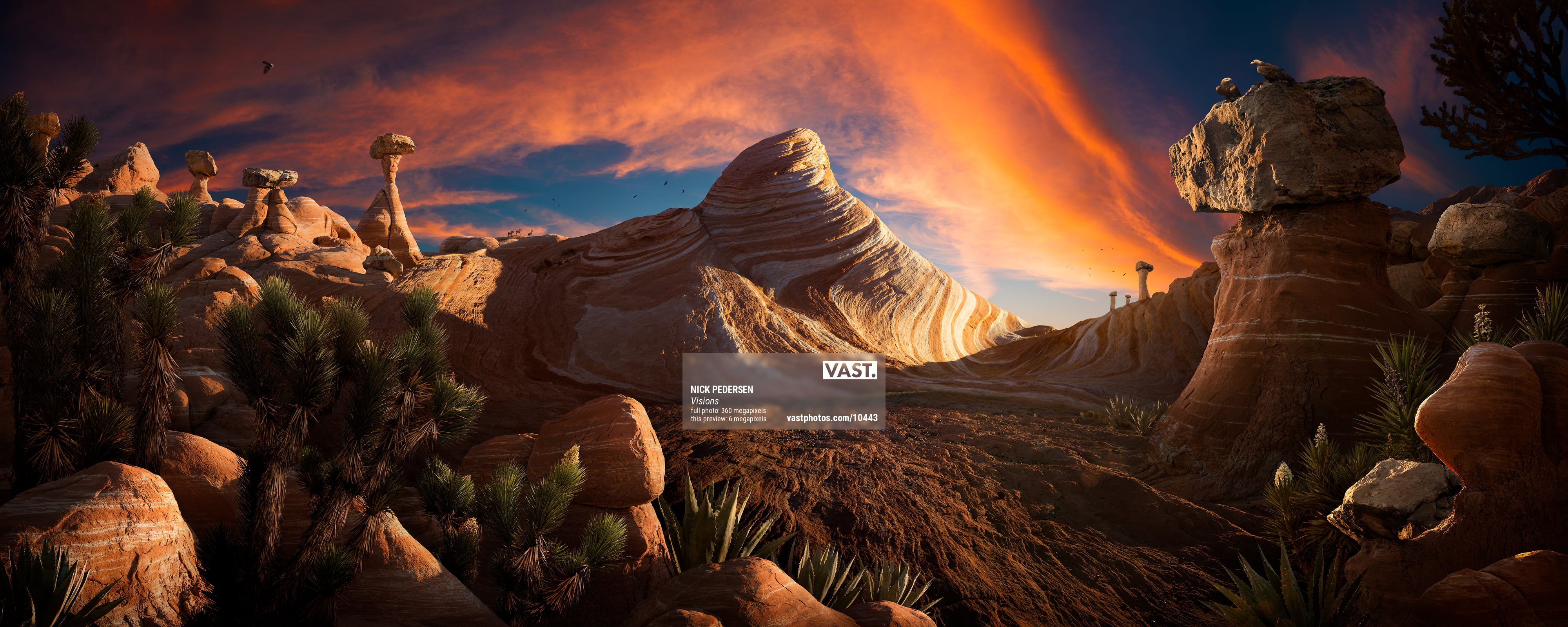 Surreal Landscape Artwork - VAST