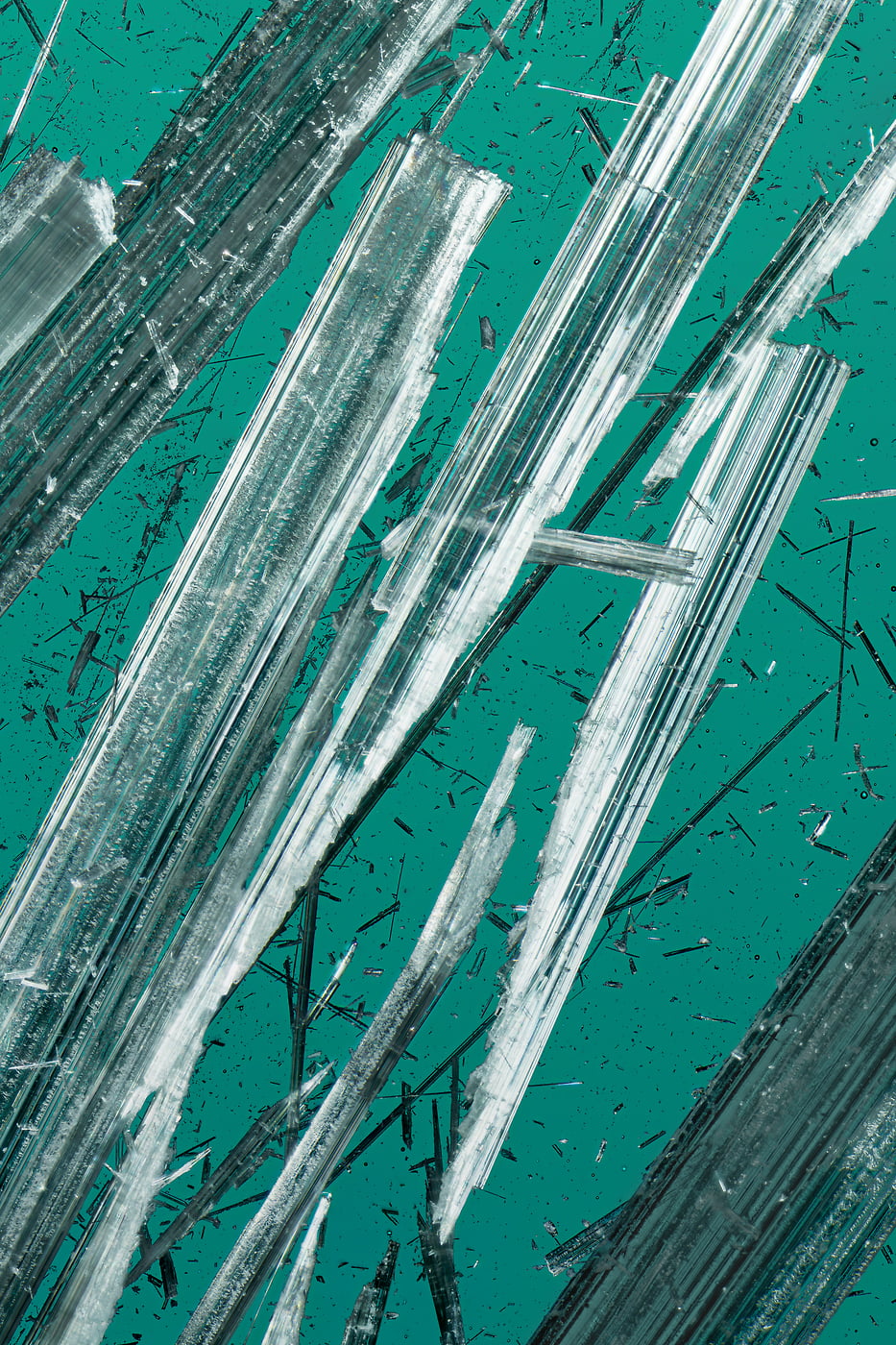 130 megapixels! A very high resolution microscopic photo artwork; VAST photo created by Steph Mantis & Dan Piech.