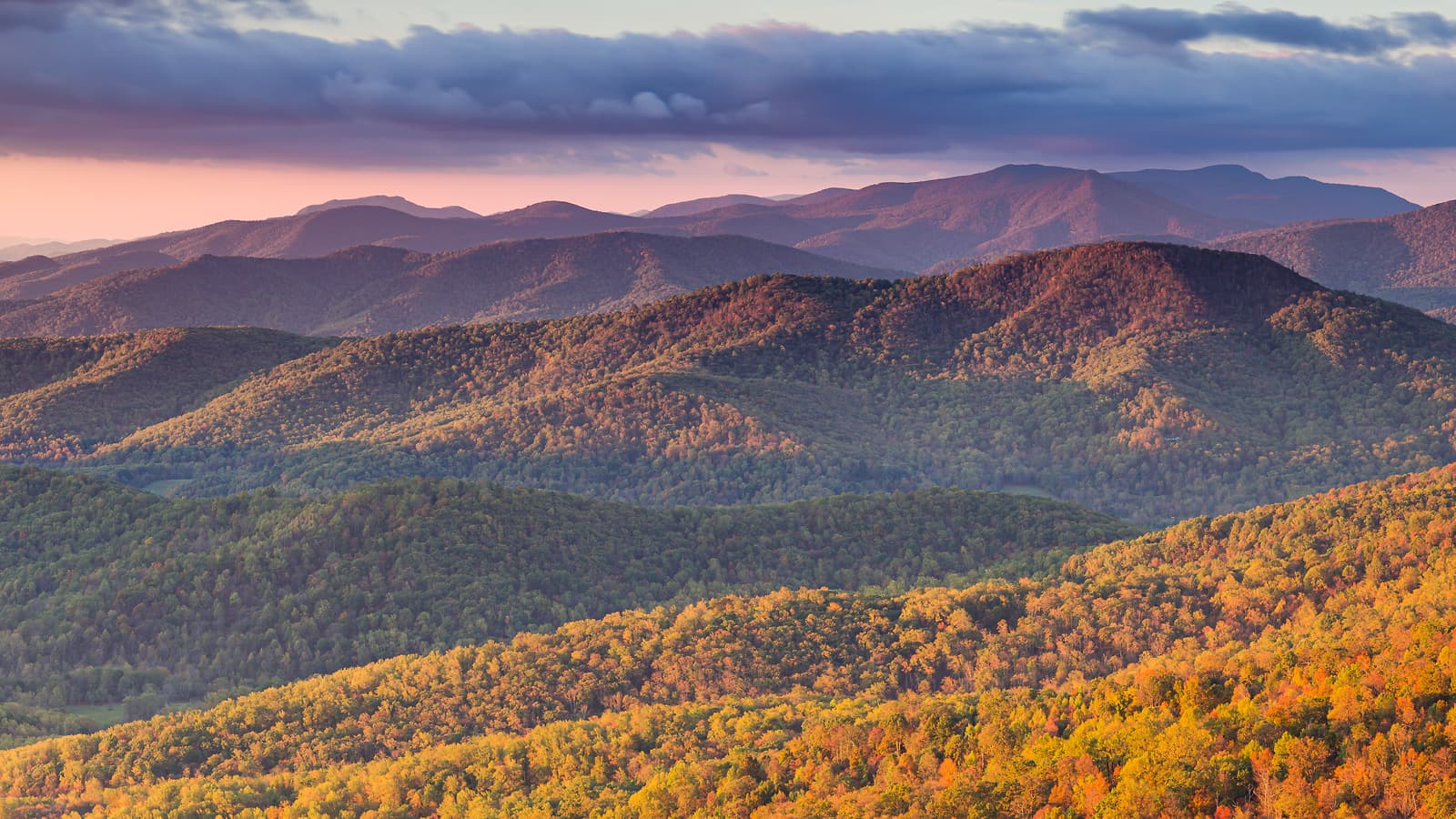 High Resolution Photos of Fall Foliage - VAST