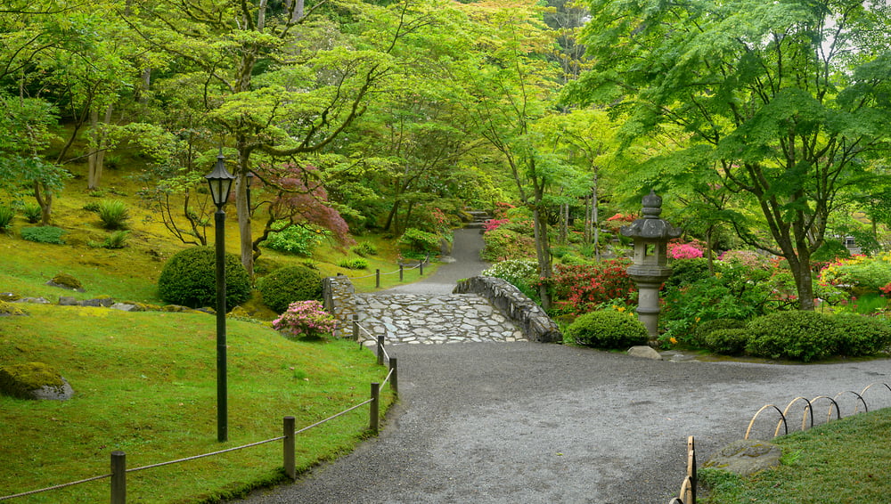 japanese-garden-photo-1000x584