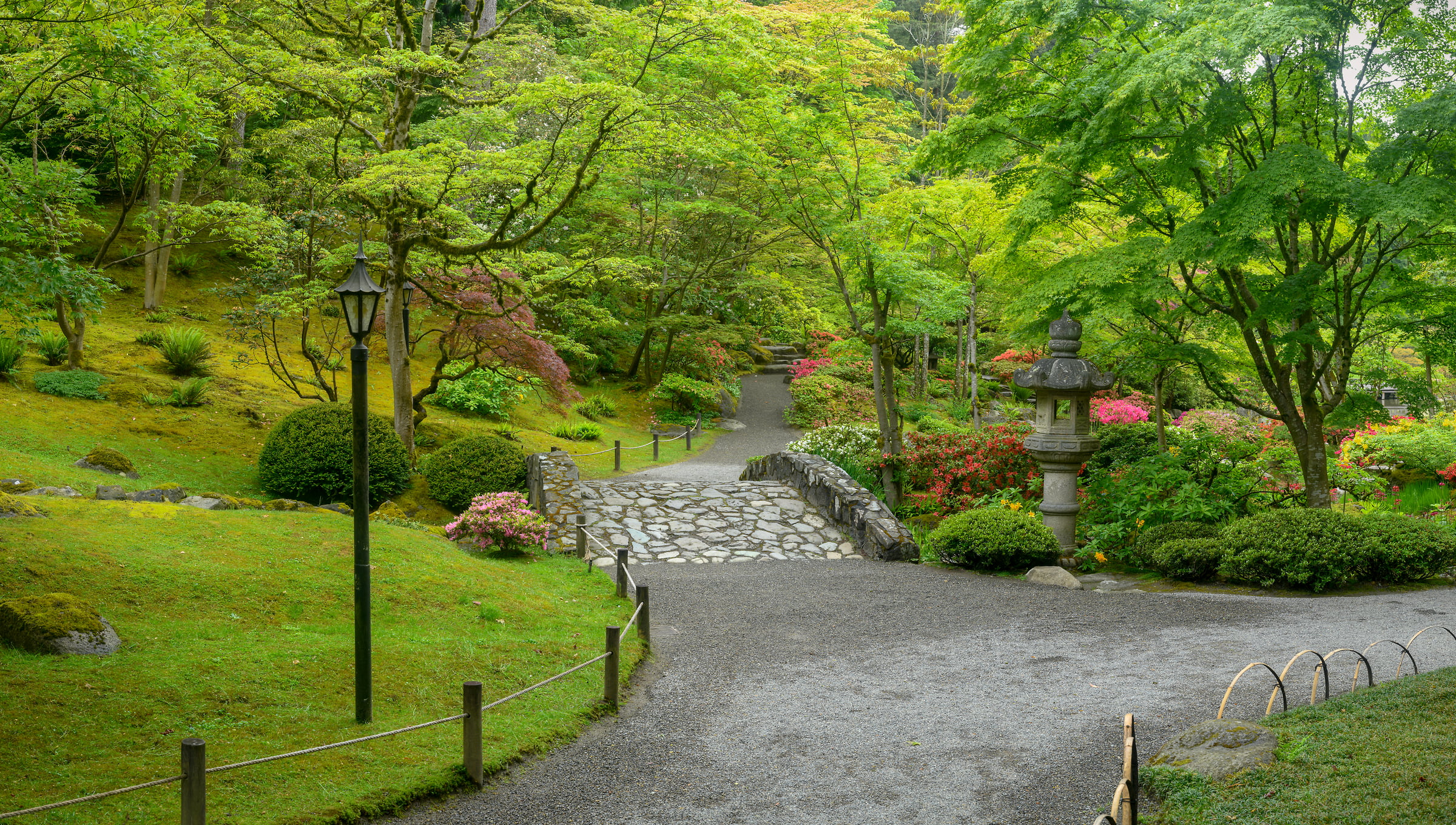 153 megapixels! A very high resolution, large-format VAST photo print of a Japanese garden with green foliage and a walkway; photograph created by Greg Probst in Japanese Garden, Seattle