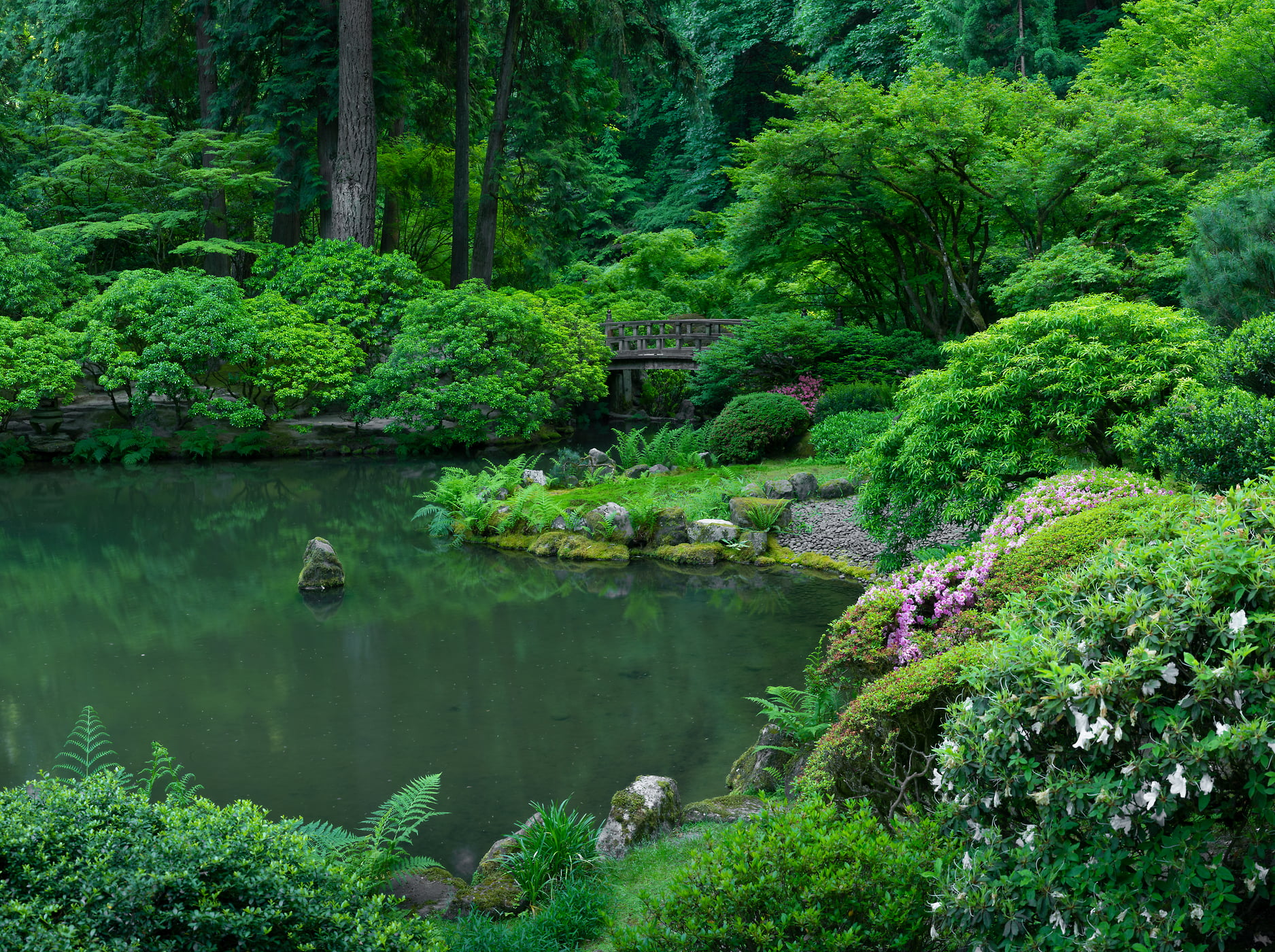 208 megapixels! A very high resolution, large-format VAST photo print of a garden pond with a bridge and forest; photograph created by Greg Probst in Portland Japanese Garden