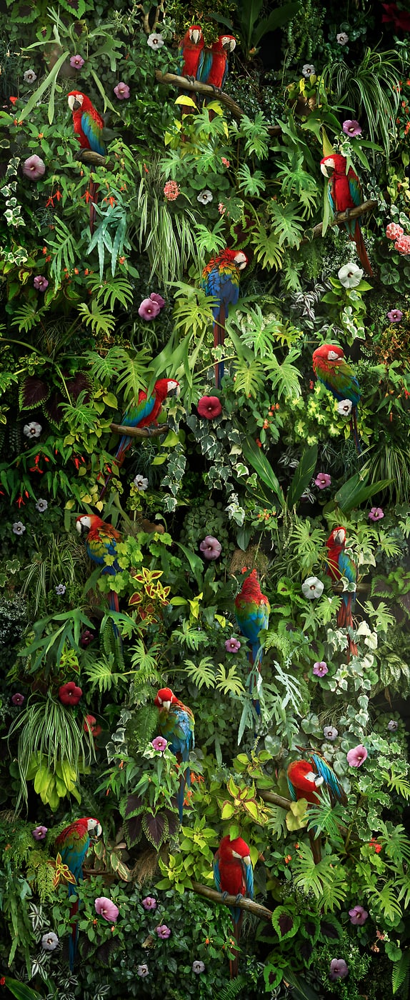 351 megapixels! A very high resolution, large-format VAST photo print of a jungle artwork; photographic artwork created by Nick Pedersen.