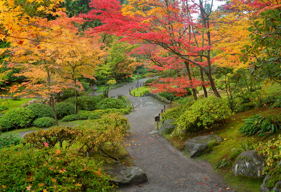 気になる対象商品 garden-in-fall-photo-1100x642. 洋書