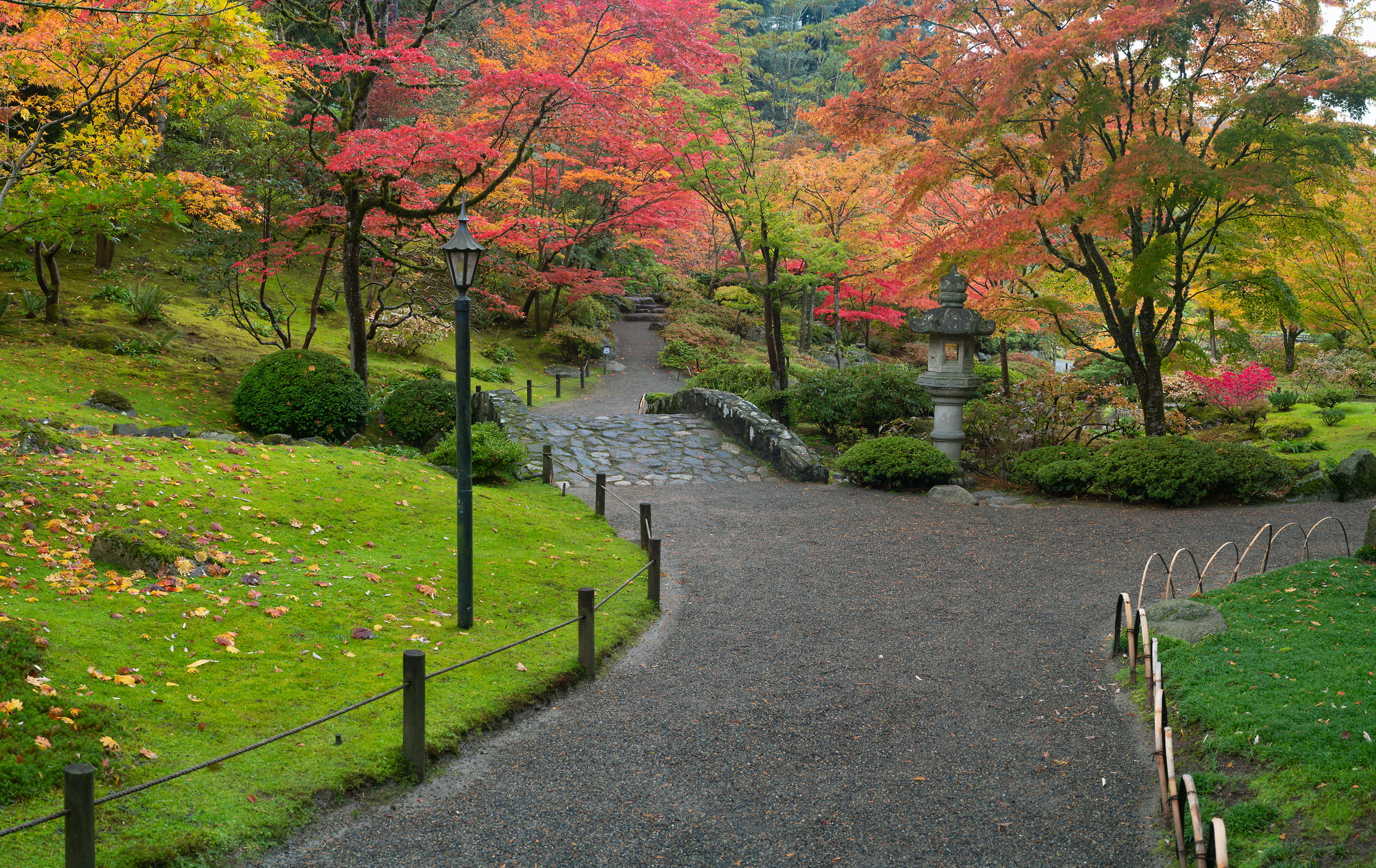 306 megapixels! A very high resolution, large-format VAST photo print of a colorful Japanese garden with fall foliage and a walkway; nature photograph created by Greg Probst in Japanese Garden, Seattle, WA.