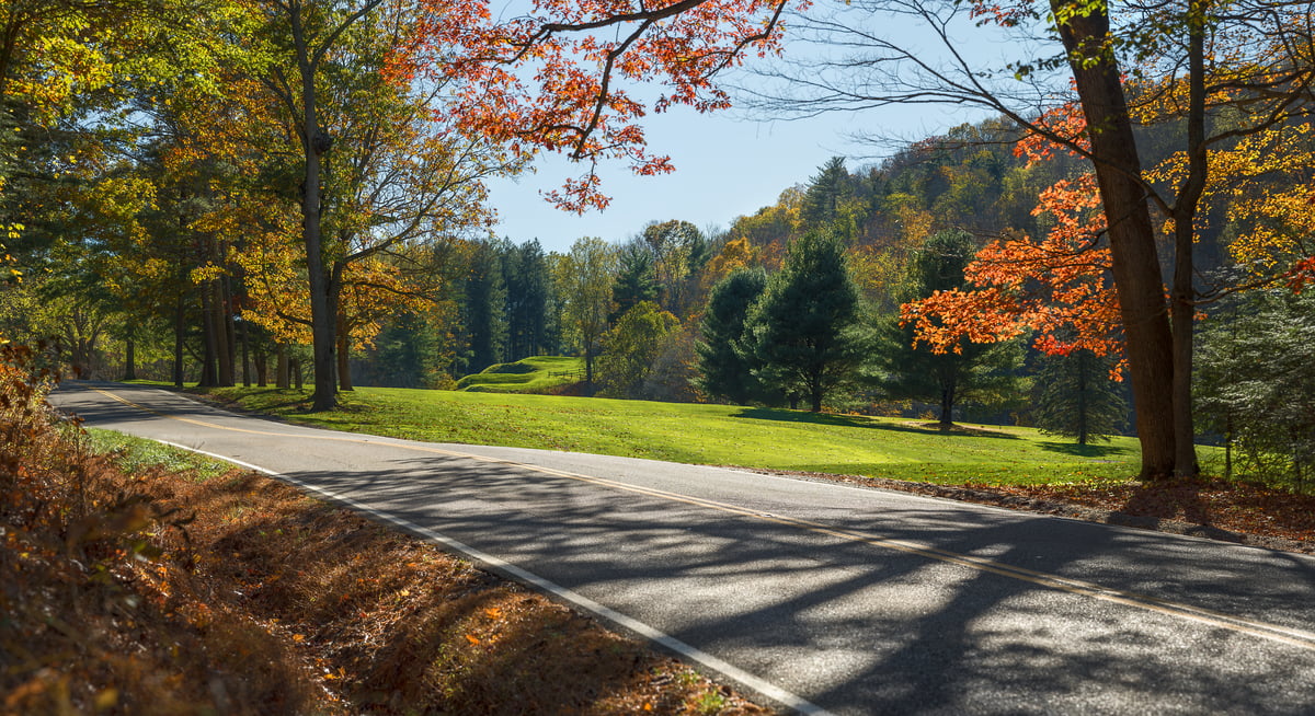 307 megapixels! A very high resolution, large-format VAST photo print of a country road winding through woods in autumn; photograph created by Jim Tarpo in Warm Springs, Virginia.