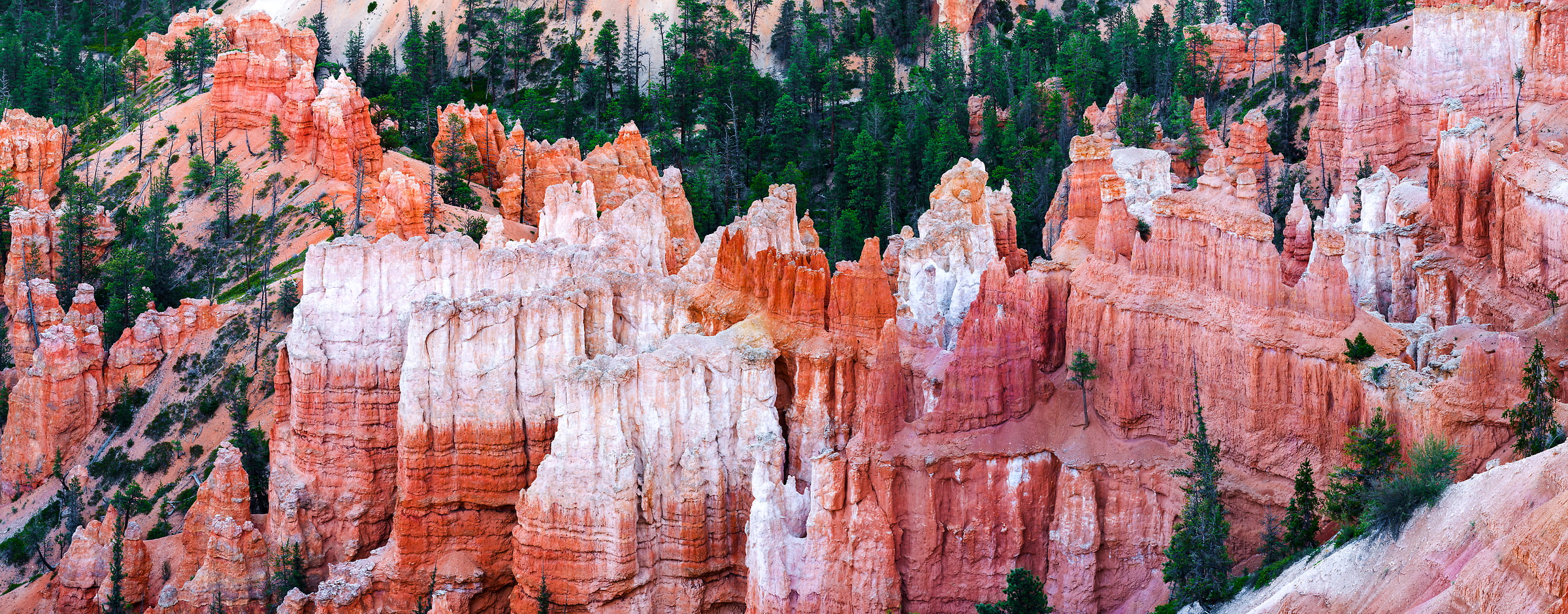516 megapixels! A very high resolution, large-format VAST photo print of a rock formation; landscape photograph created by Jim Tarpo in Bryce Canyon, Utah.