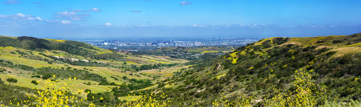 248 megapixels! A very high resolution, large-format VAST photo print of Bommer Canyon in Irvine, California; landscape photograph created by Jim Tarpo in Bommer Canyon, Irvine, California.
