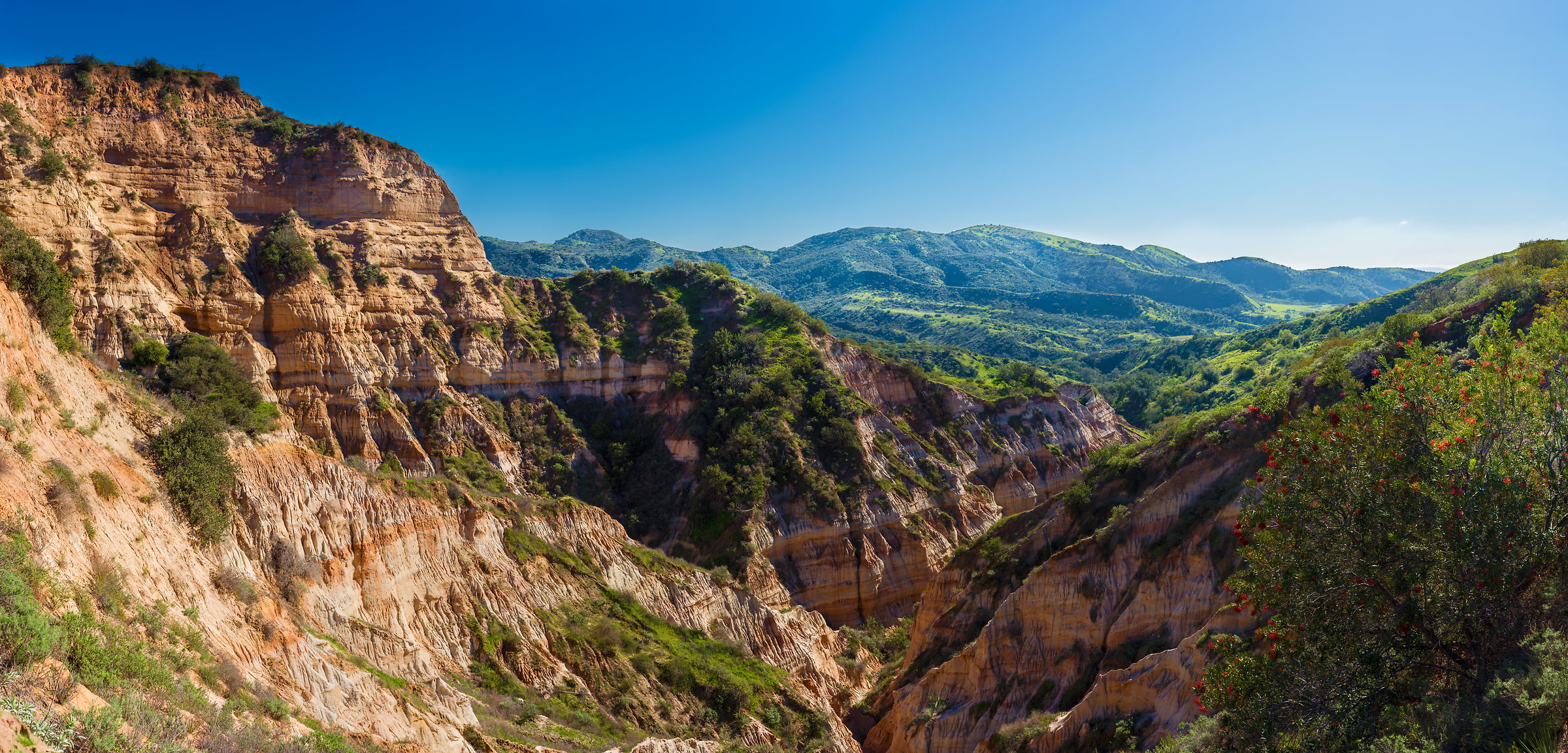 624 megapixels! A very high resolution, large-format VAST photo print of Limestone Canyon Regional Park; landscape photograph created by Jim Tarpo in Limestone Canyon Regional Park, California.