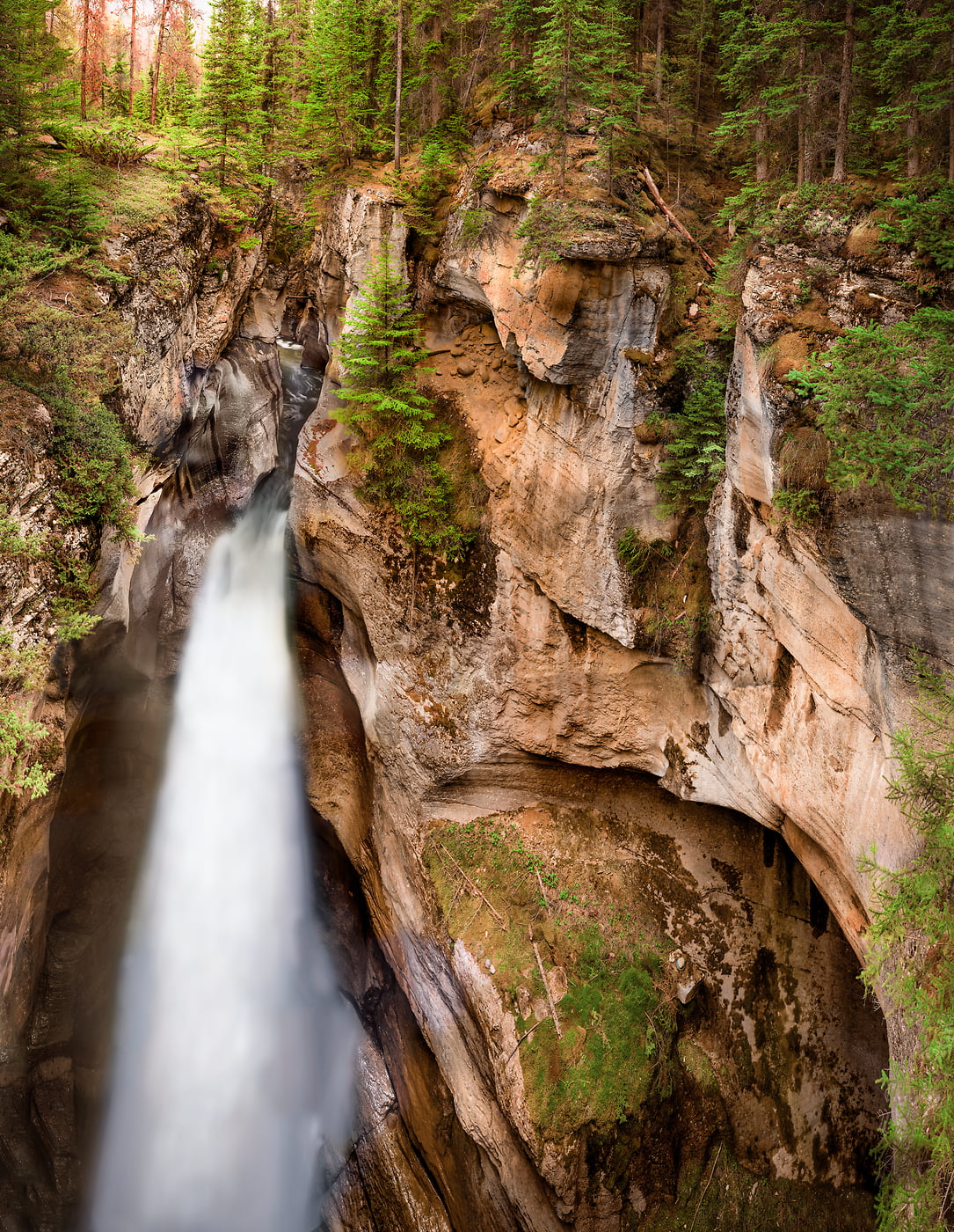516 megapixels! A very high resolution, large-format VAST photo print of  a canyon with a waterfall; landscape nature photograph created by Steve Webster in Maligne Canyon, Jasper National Park, Alberta Canada.