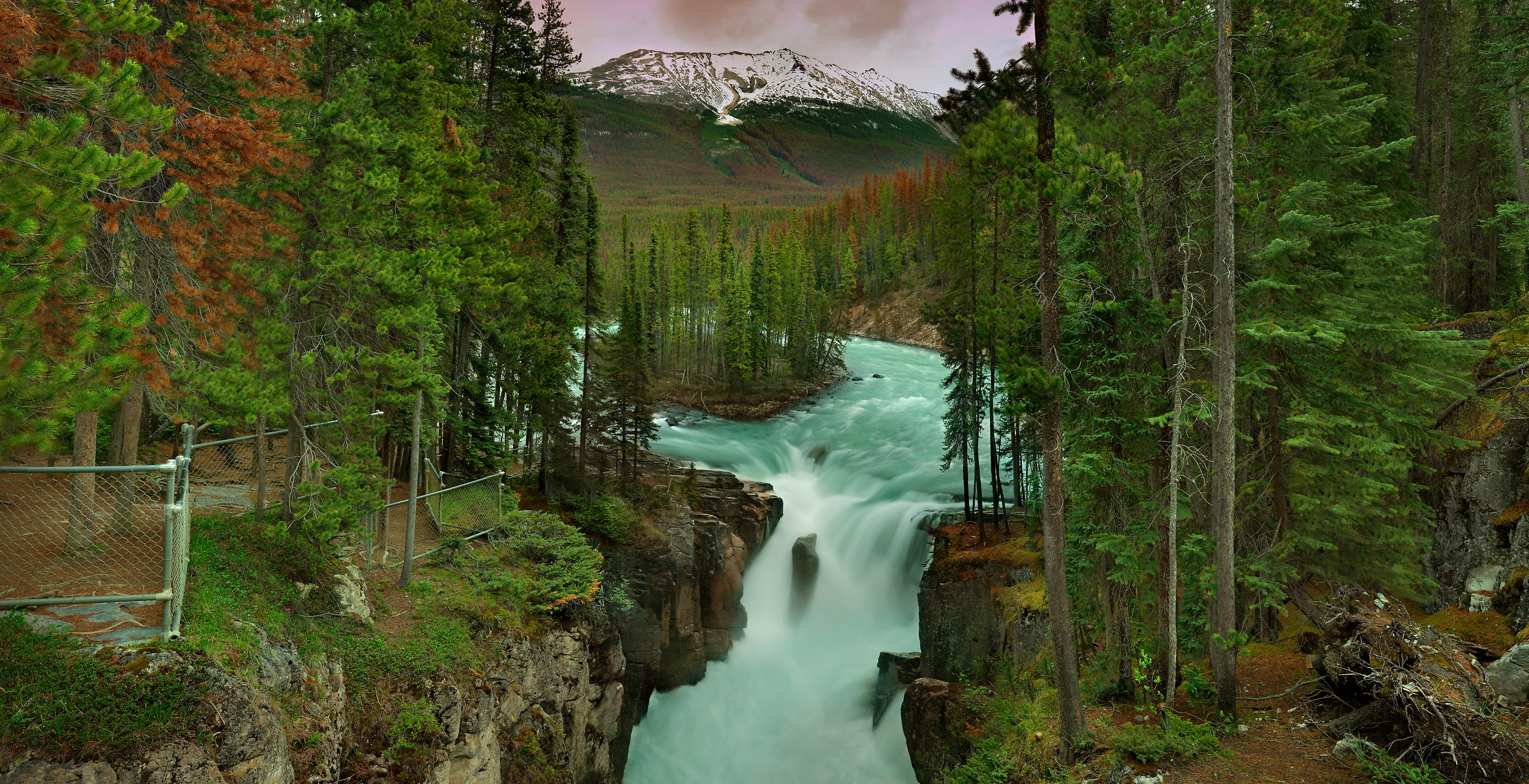 1,682 megapixels! A very high resolution, large-format VAST photo print of woods with a waterfall; nature photograph created by Steve Webster in Sunwapta Falls, Jasper National Park, Alberta Canada