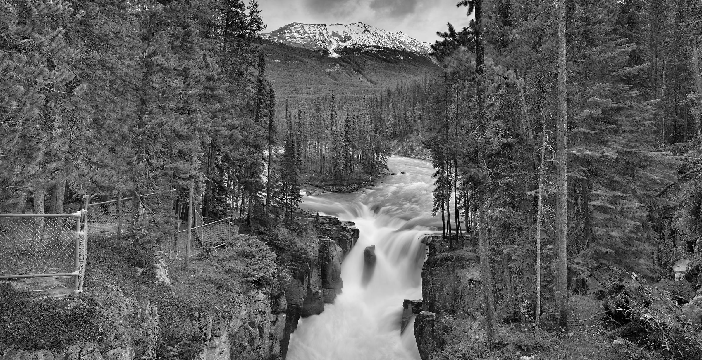 1,682 megapixels! A very high resolution, large-format VAST photo print of woods and a waterfall; black & white photograph created by Steve Webster in Sunwapta Falls, Jasper National Park, Alberta, Canada.