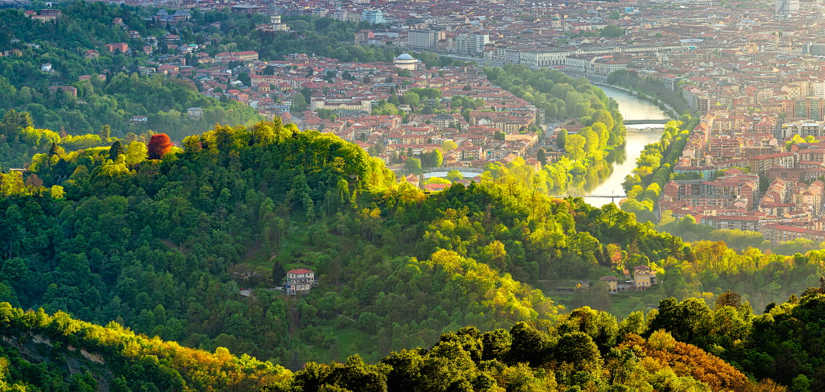 Torino F C Photograph by Mountain Dreams - Fine Art America