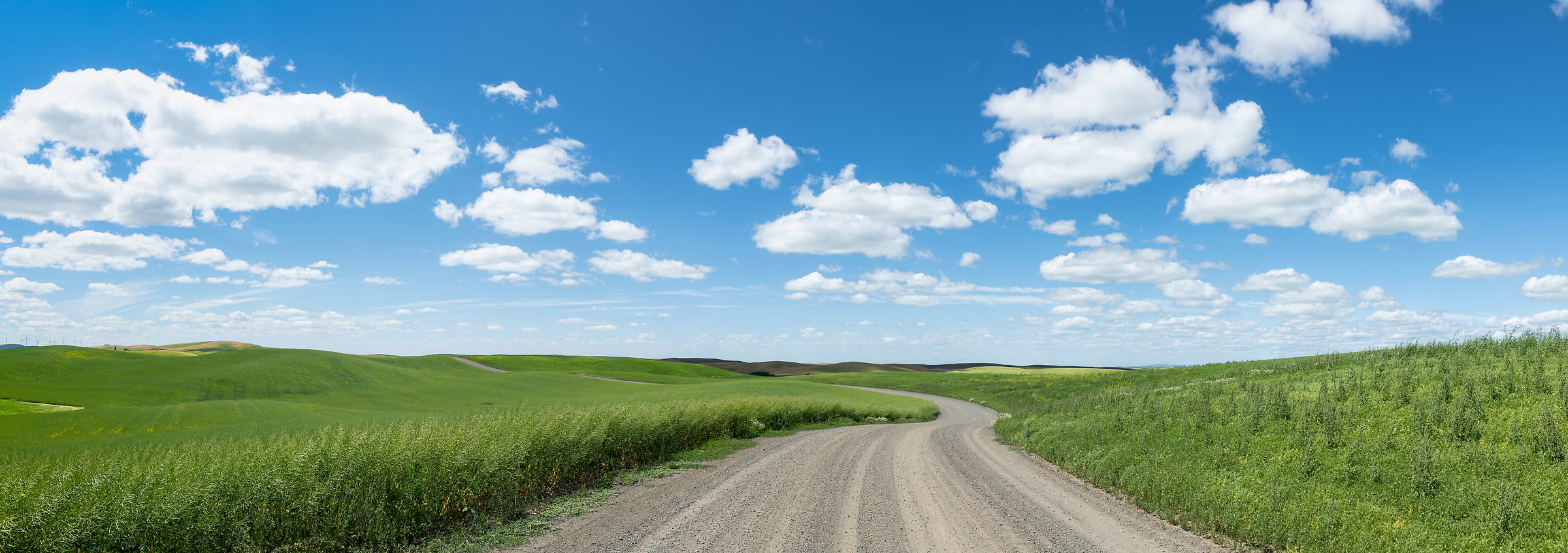 87 megapixels! A very high resolution, large-format VAST photo print of a road in farmland; landscape photograph created by Greg Probst in Palouse, Washington