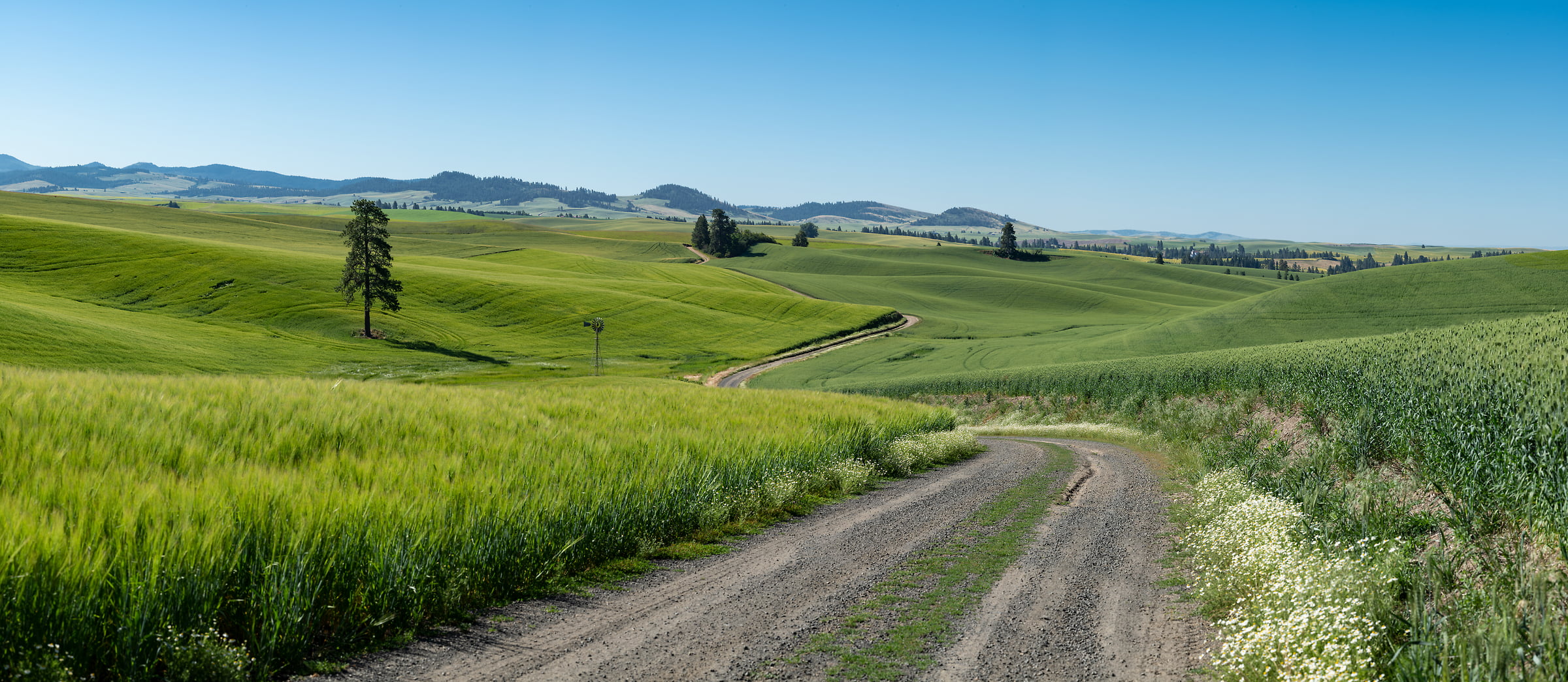 423 megapixels! A very high resolution, large-format VAST photo print of a road among hills; landscape photograph created by Greg Probst in Palouse, Washington.
