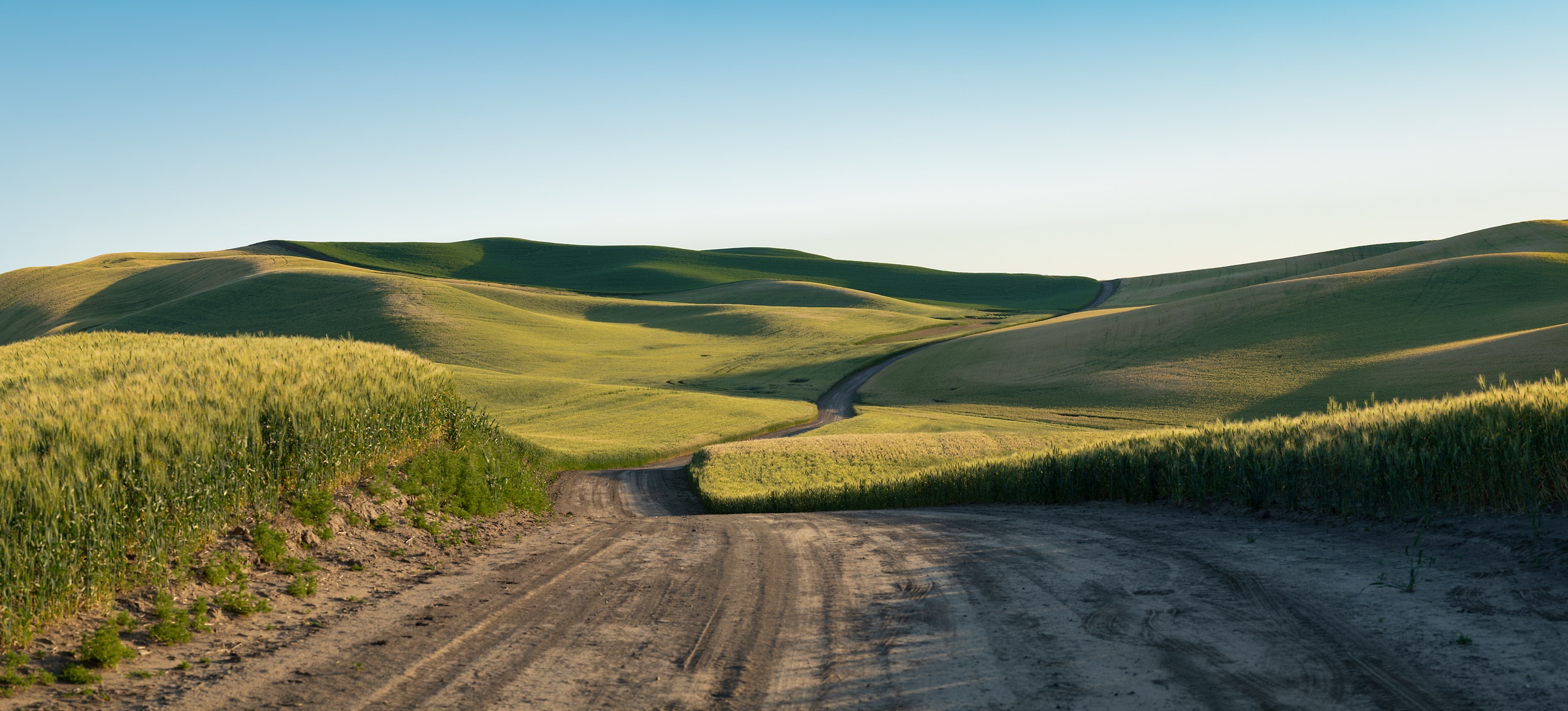 280 megapixels! A very high resolution, large-format VAST photo print of a dirt road going through hills of wheat fields; landscape photograph created by Greg Probst in Palouse, Washington