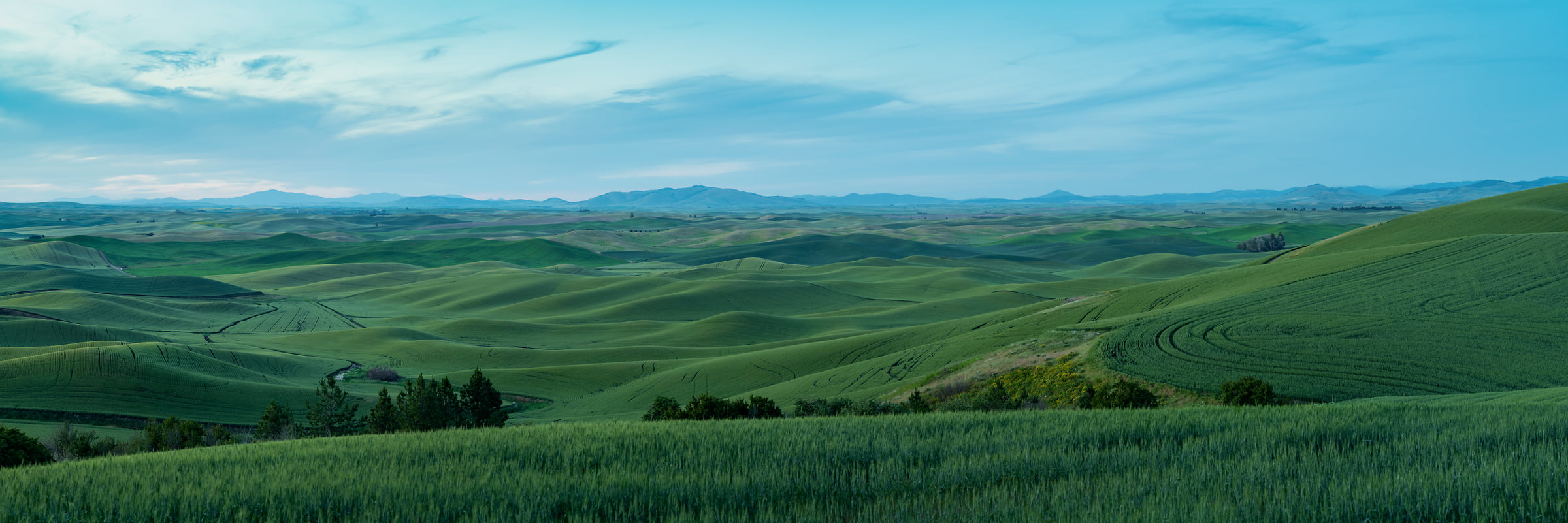 362 megapixels! A very high resolution, large-format VAST photo print of rolling hills at dusk; panorama landscape photograph created by Greg Probst in Steptoe Butte State Park, Washington.