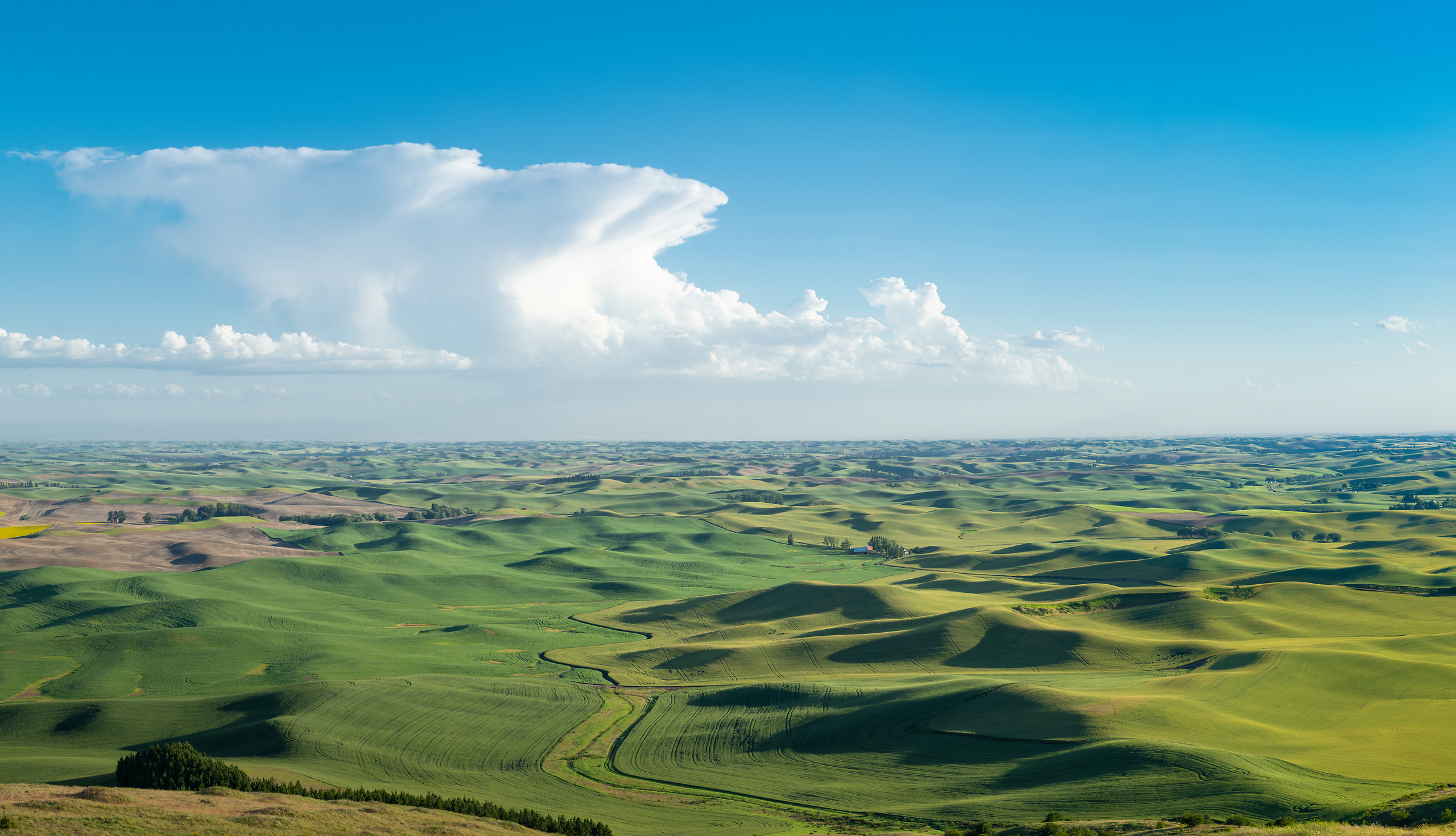 355 megapixels! A very high resolution, large-format VAST photo print farms; landscape photograph created by Greg Probst in Steptoe Butte State Park, Washington