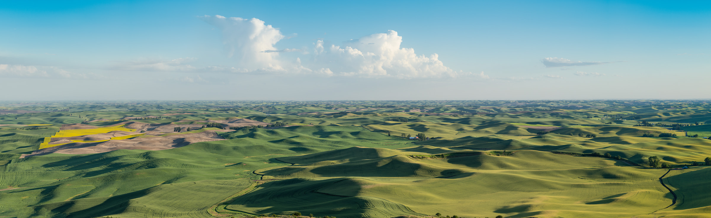 313 megapixels! A very high resolution, large-format VAST photo print of a pastoral landscape with rolling green hills of farmland; photograph created by Greg Probst in Steptoe Butte State Park, Washington.