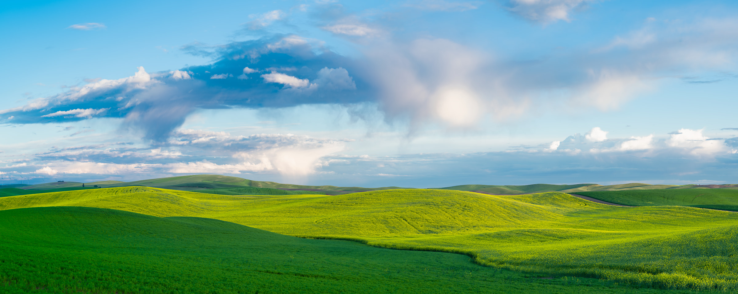 297 megapixels! A very high resolution, large-format VAST photo print of fields, hills, & clouds; landscape photograph created by Greg Probst in Steptoe Butte State Park, Washington