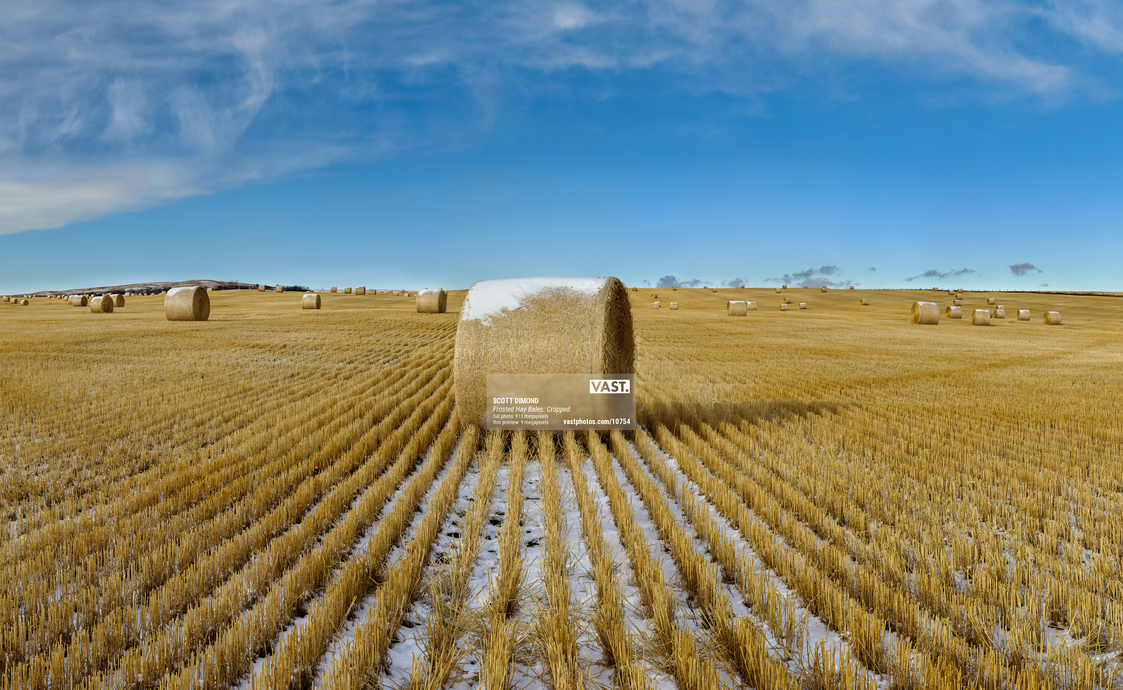 Hay Field Photo Vast