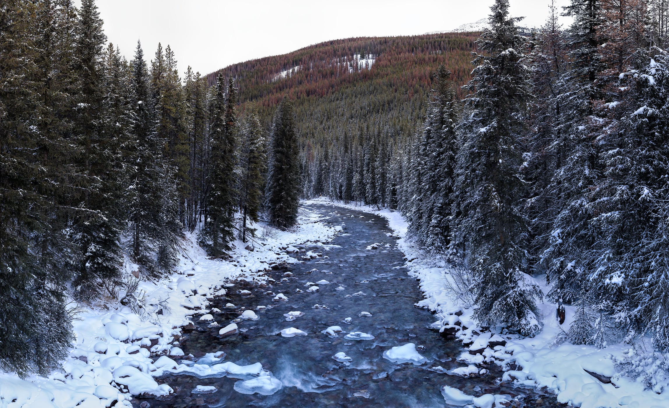 1,295 megapixels! A very high resolution, large-format VAST photo print of winter scene of a river with snow and evergreen trees; nature photograph created by Scott Dimond in Jasper National Park, Alberta, Canada