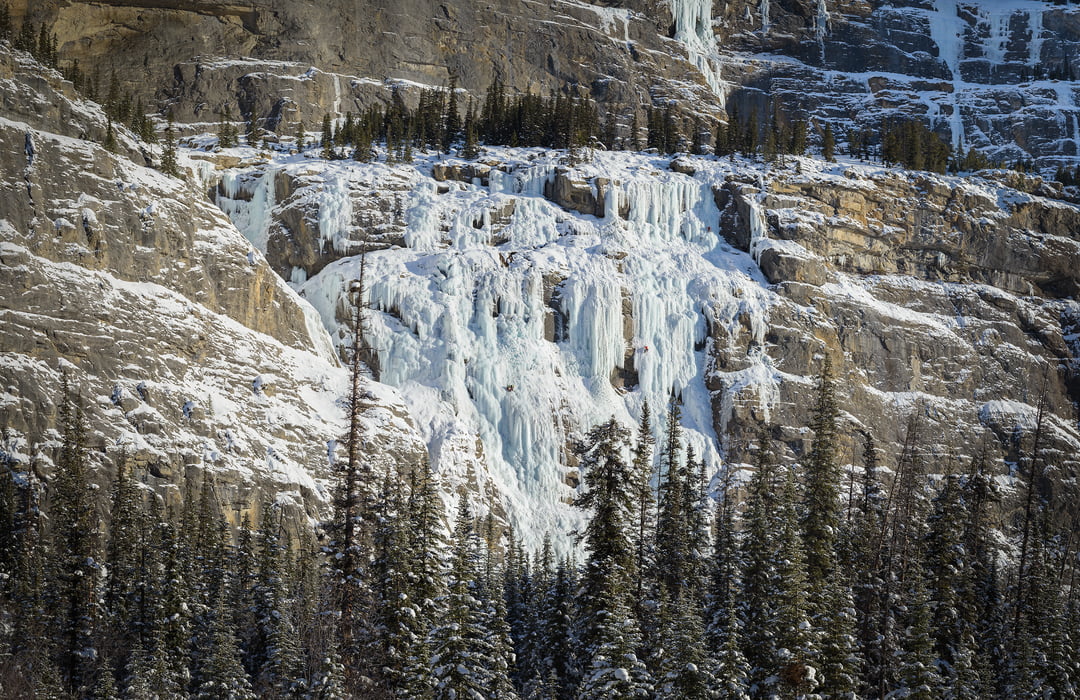 400 megapixels! A very high resolution, large-format VAST photo print of ice climbers on a rock wall; landscape photograph created by Scott Dimond on the Weeping Wall along the Icefields Parkway in Banff National Park, Alberta, Canada.