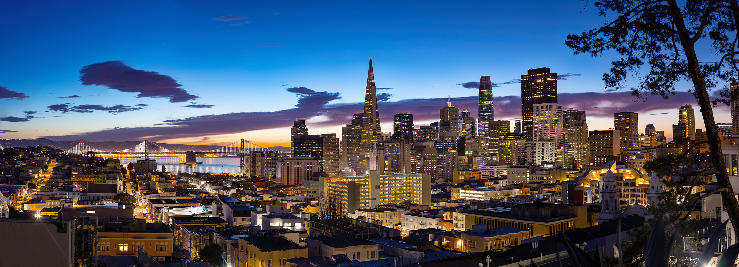 398 megapixels! A very high resolution, large-format VAST photo print of the San Francisco skyline at sunrise; cityscape skyline photograph created by Nicholas Gonzales in Ina Coolbrith Park, San Francisco, California.