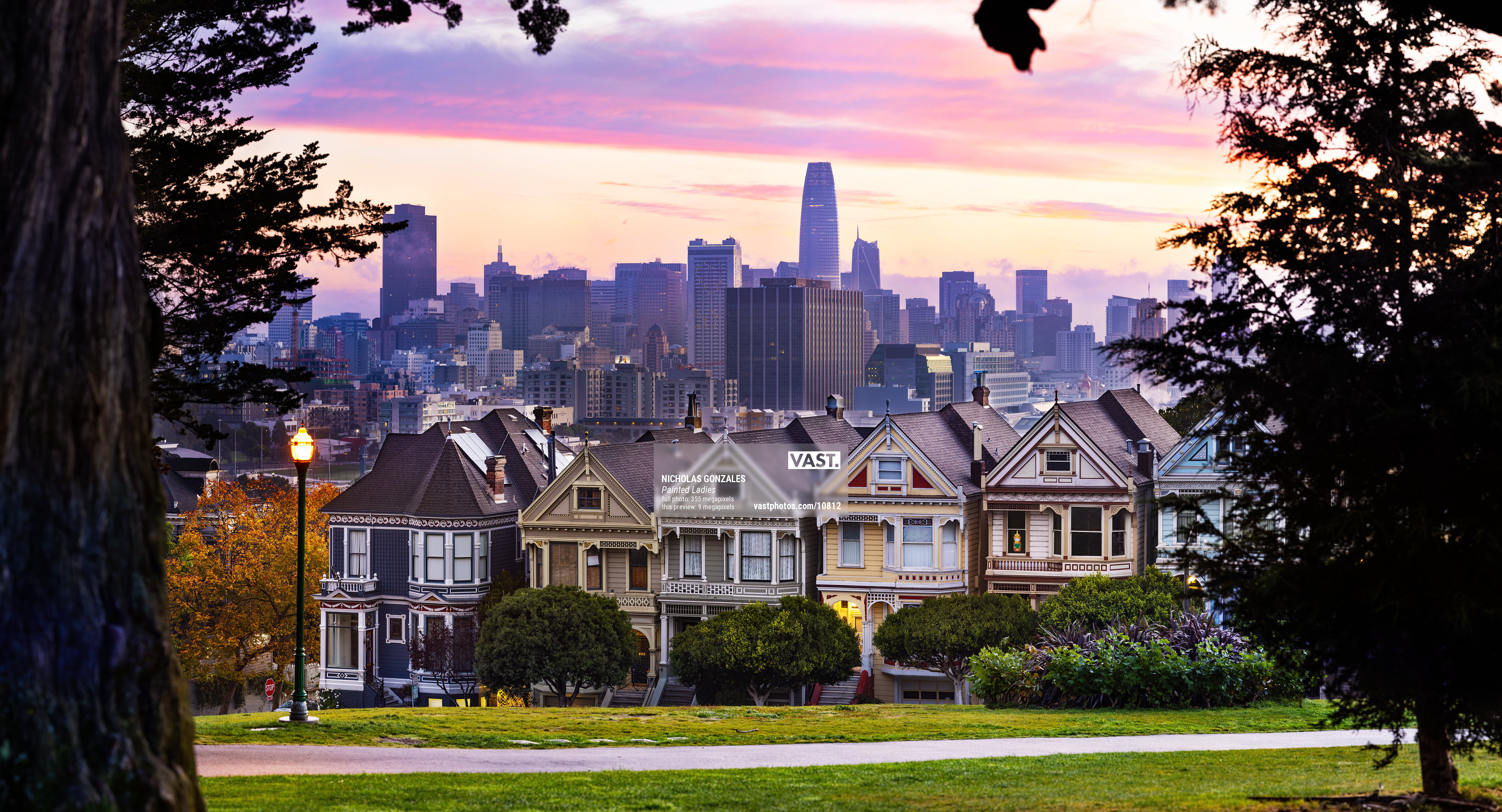 奥山由之写真集「Los Angeles / San Francisco」 Painted Ladies - San Francisco photos - VAST